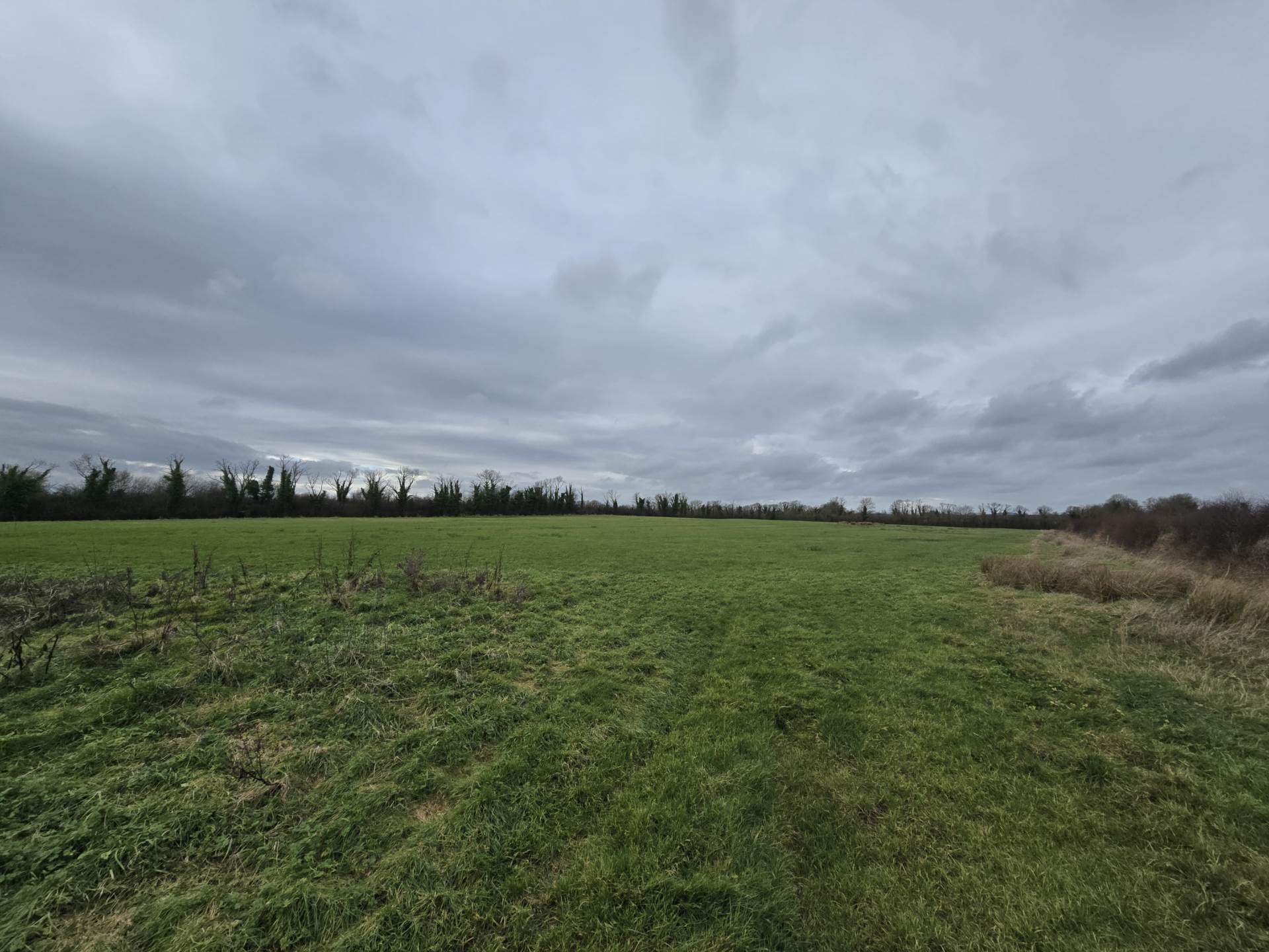 Fort Middle, Charleville, Co. Limerick P56 RD21, P56 RD21