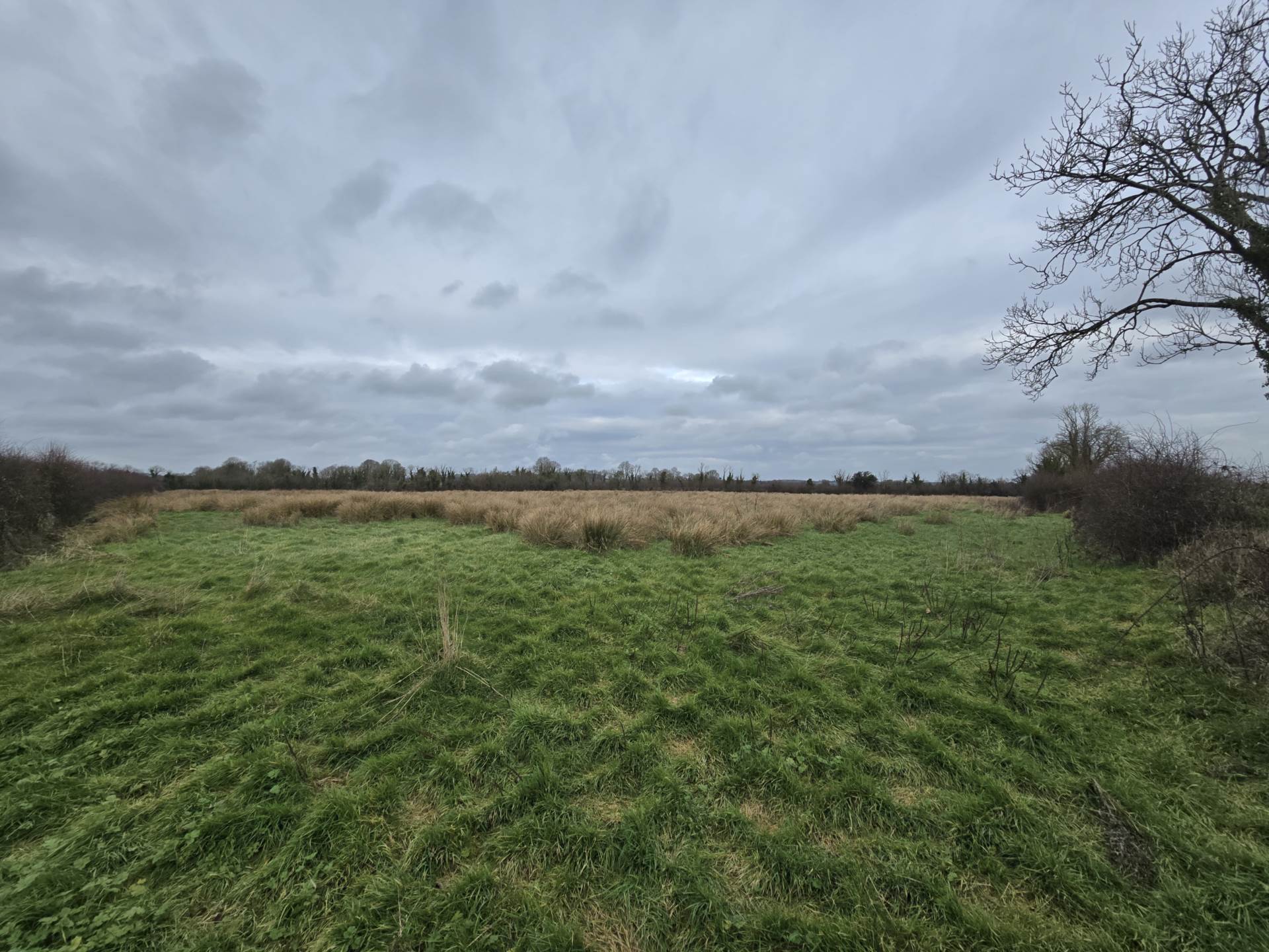 Fort Middle, Charleville, Co. Limerick P56 RD21, P56 RD21 Fort Middle, Charleville, Co. Limerick P56 RD21, P56 RD21