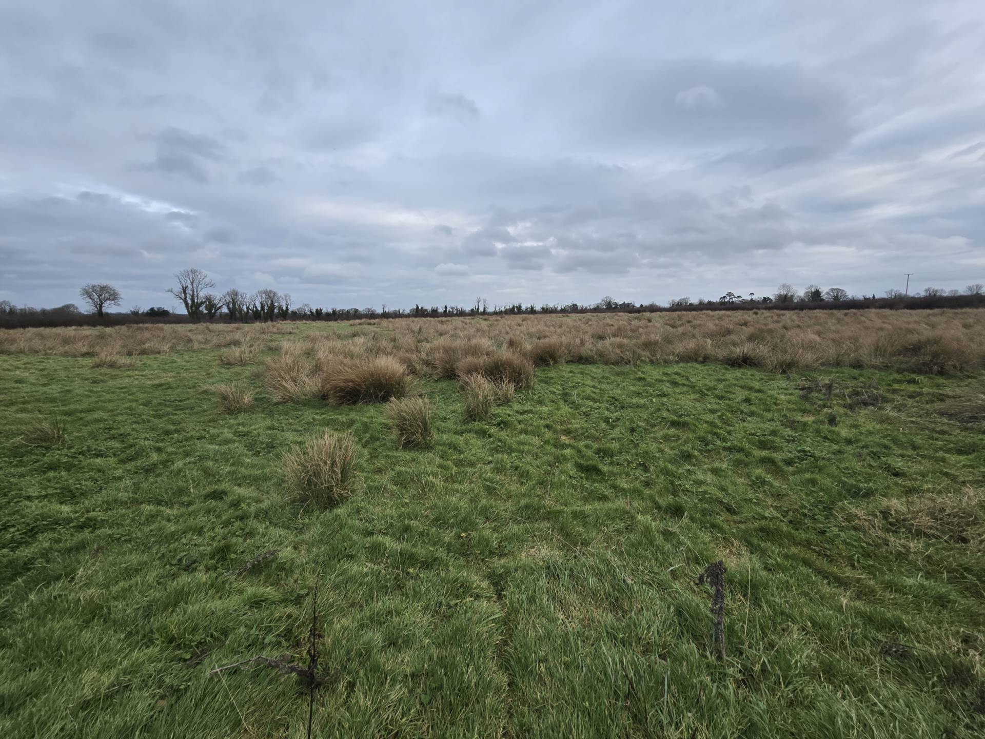 Fort Middle, Charleville, Co. Limerick P56 RD21, P56 RD21 Fort Middle, Charleville, Co. Limerick P56 RD21, P56 RD21