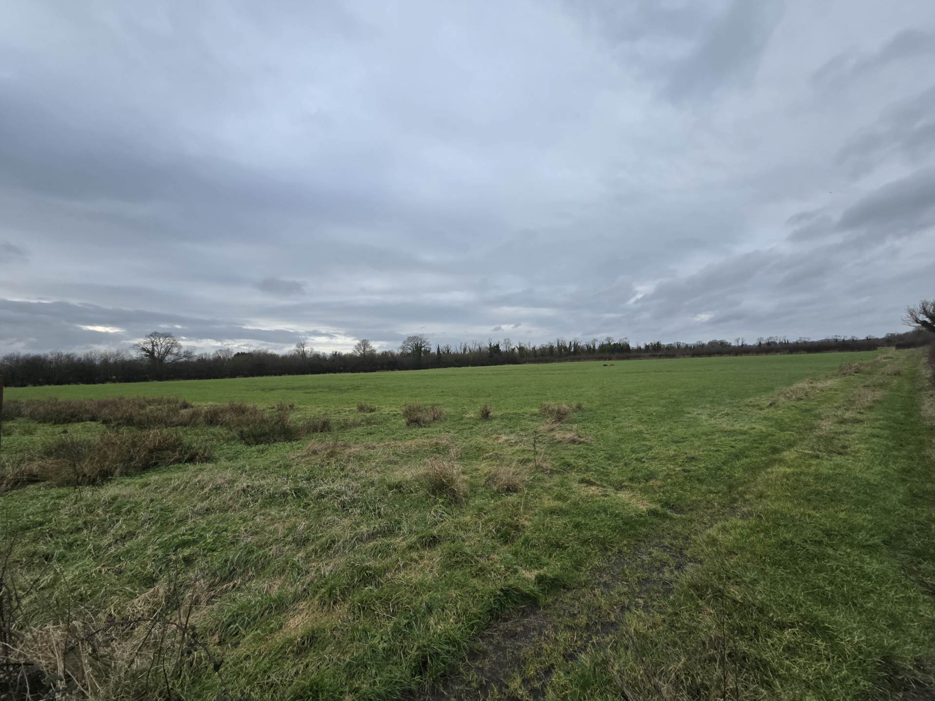 Fort Middle, Charleville, Co. Limerick P56 RD21, P56 RD21 Fort Middle, Charleville, Co. Limerick P56 RD21, P56 RD21