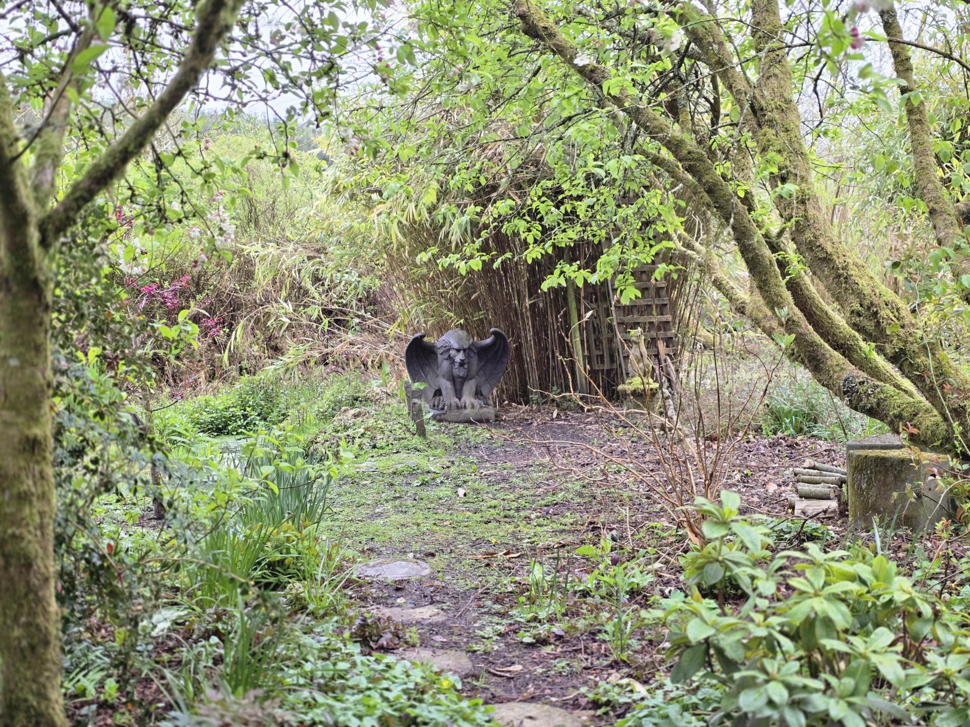 Underhill, Rockhill West, Rockchapel, Mallow, Co. Cork P51 T0V1, P51 T0V1 Underhill, Rockhill West, Rockchapel, Mallow, Co. Cork P51 T0V1, P51 T0V1
