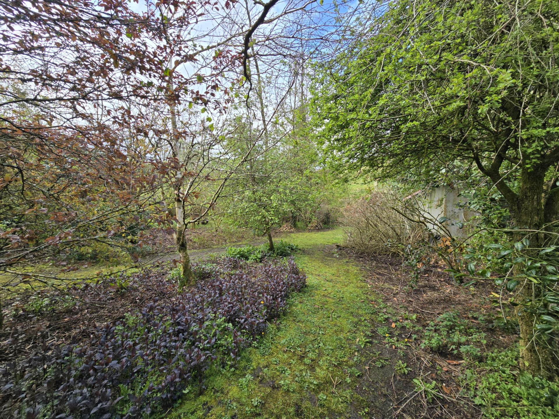 Underhill, Rockhill West, Rockchapel, Mallow, Co. Cork P51 T0V1, P51 T0V1 Underhill, Rockhill West, Rockchapel, Mallow, Co. Cork P51 T0V1, P51 T0V1