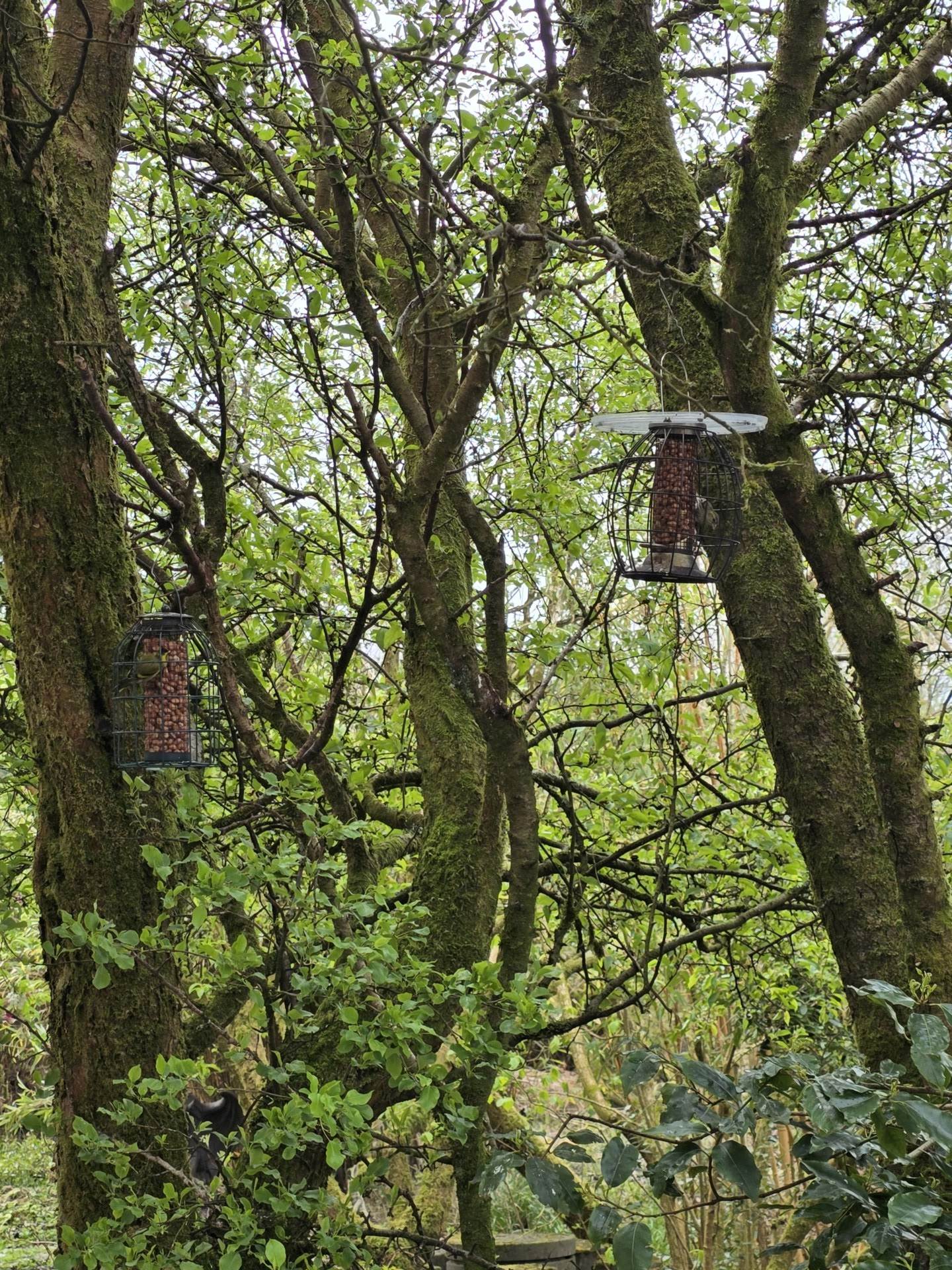 Underhill, Rockhill West, Rockchapel, Mallow, Co. Cork P51 T0V1, P51 T0V1 Underhill, Rockhill West, Rockchapel, Mallow, Co. Cork P51 T0V1, P51 T0V1