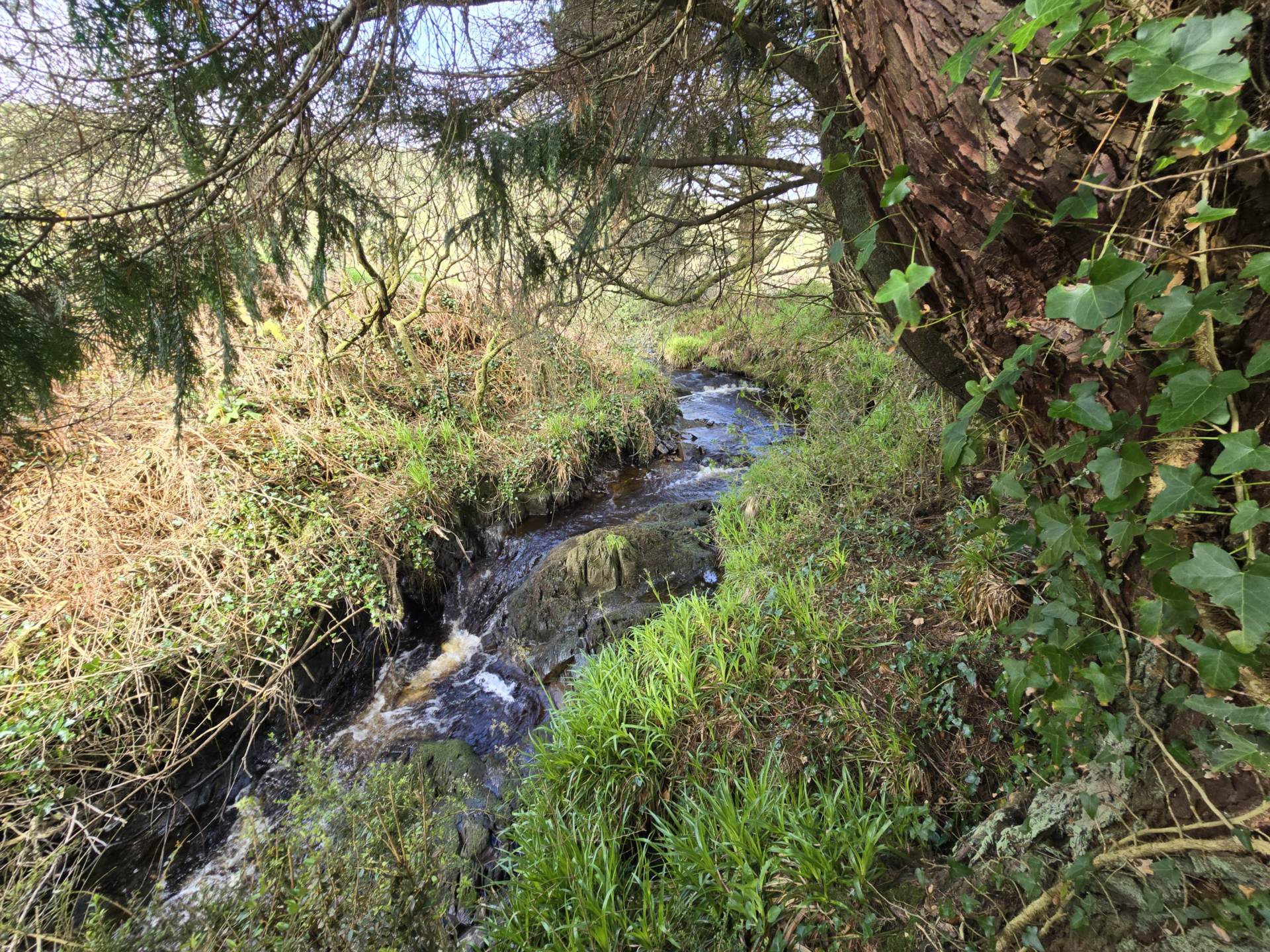 Underhill, Rockhill West, Rockchapel, Mallow, Co. Cork P51 T0V1, P51 T0V1 Underhill, Rockhill West, Rockchapel, Mallow, Co. Cork P51 T0V1, P51 T0V1