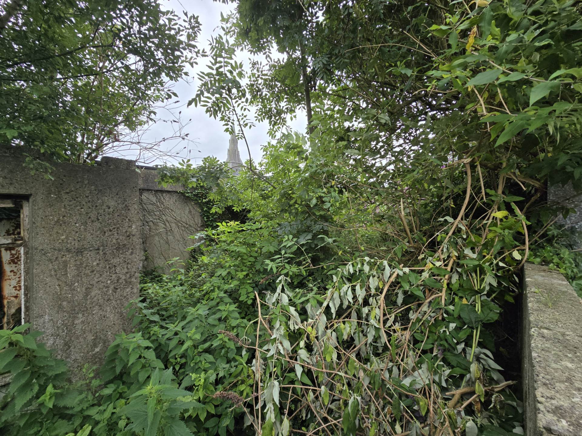 Old Chapel Lane, Castleisland, Co. Kerry V92 FH42 Old Chapel Lane, Castleisland, Co. Kerry V92 FH42
