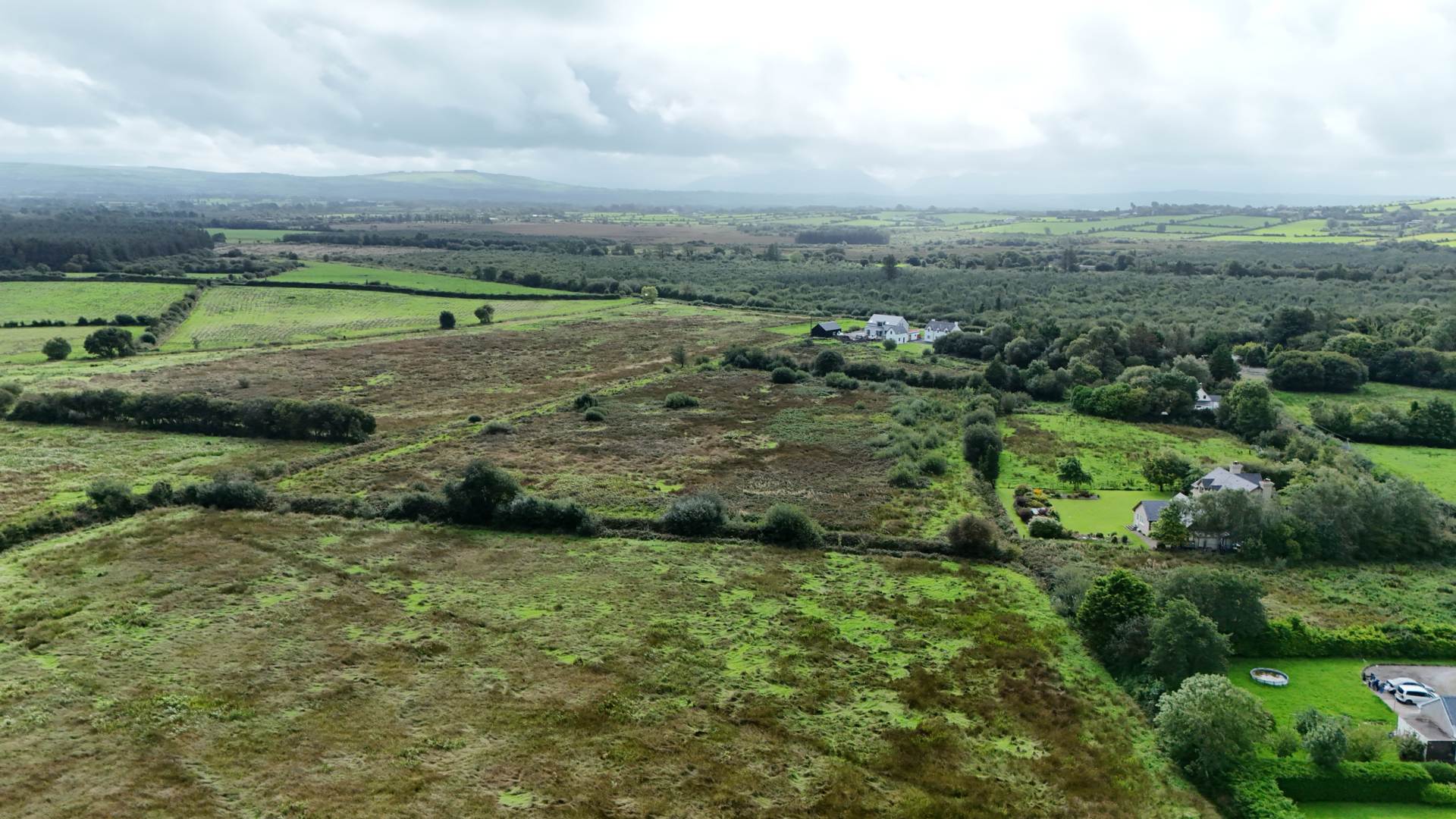 Scart, Gortatlea, Tralee, Co. Kerry