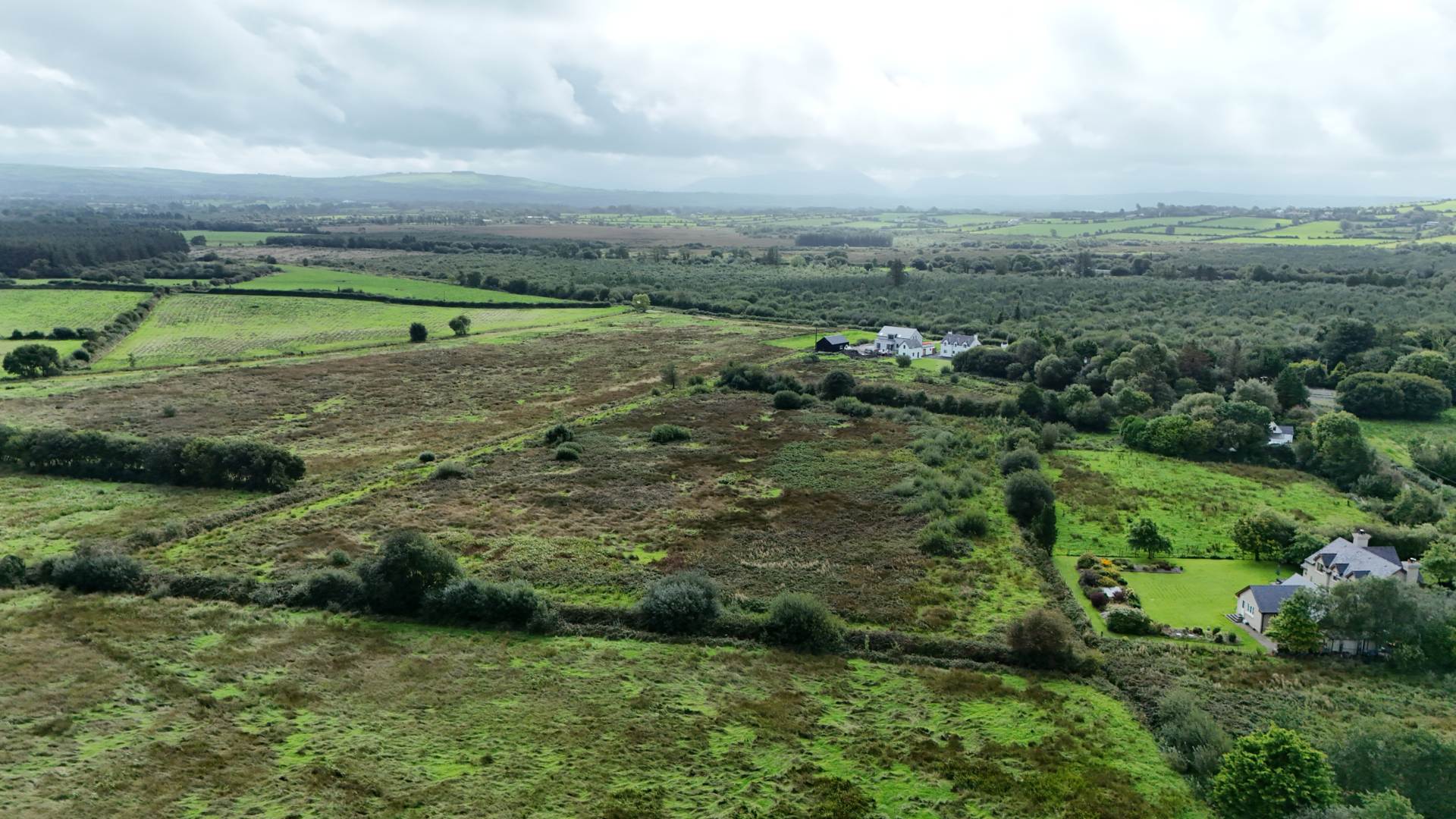 Scart, Gortatlea, Tralee, Co. Kerry