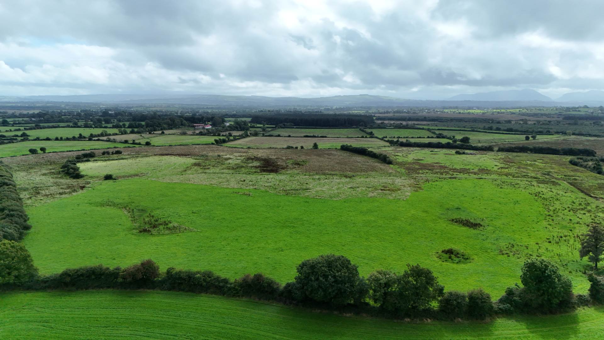 Scart, Gortatlea, Tralee, Co. Kerry