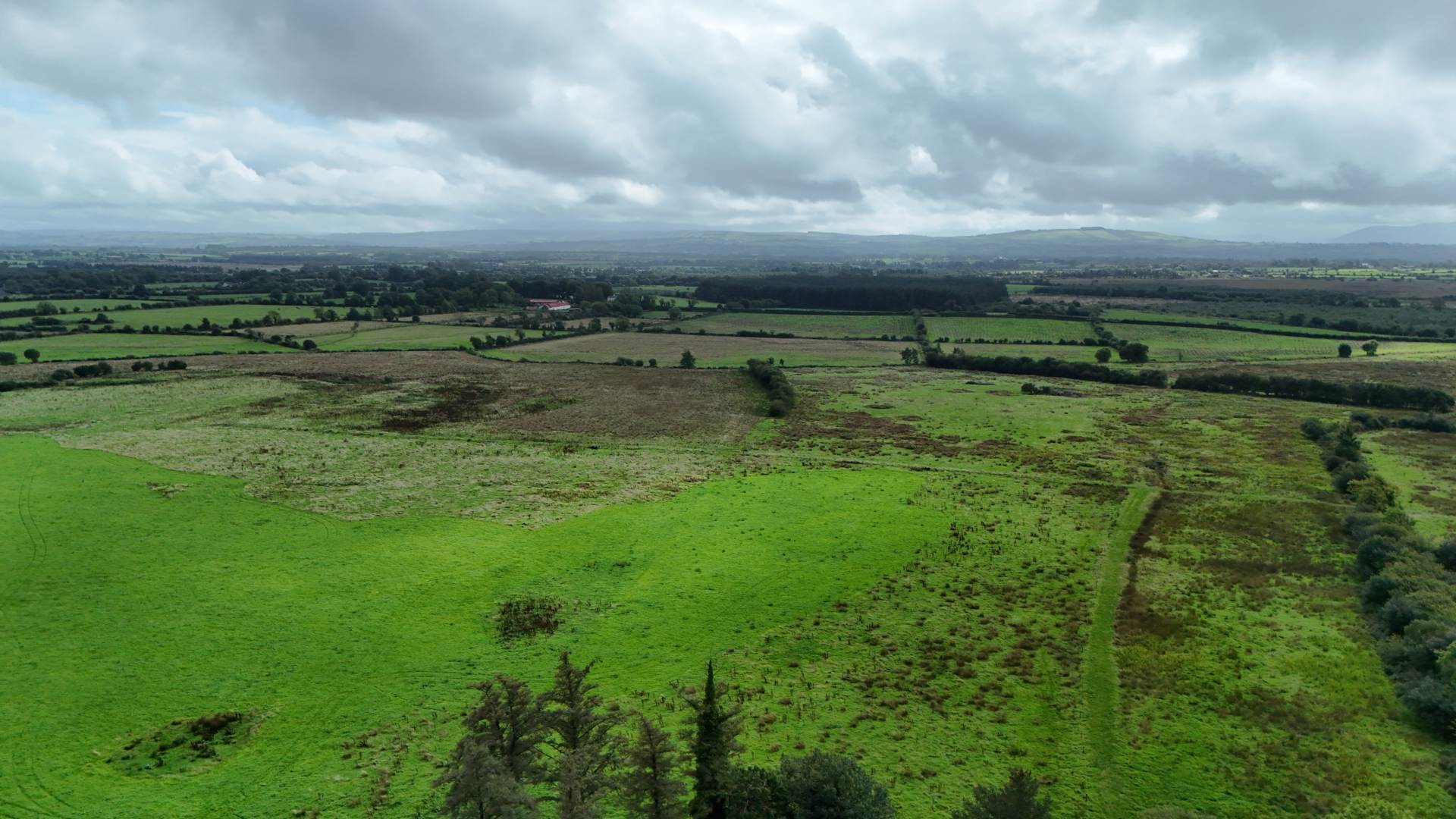 Scart, Gortatlea, Tralee, Co. Kerry