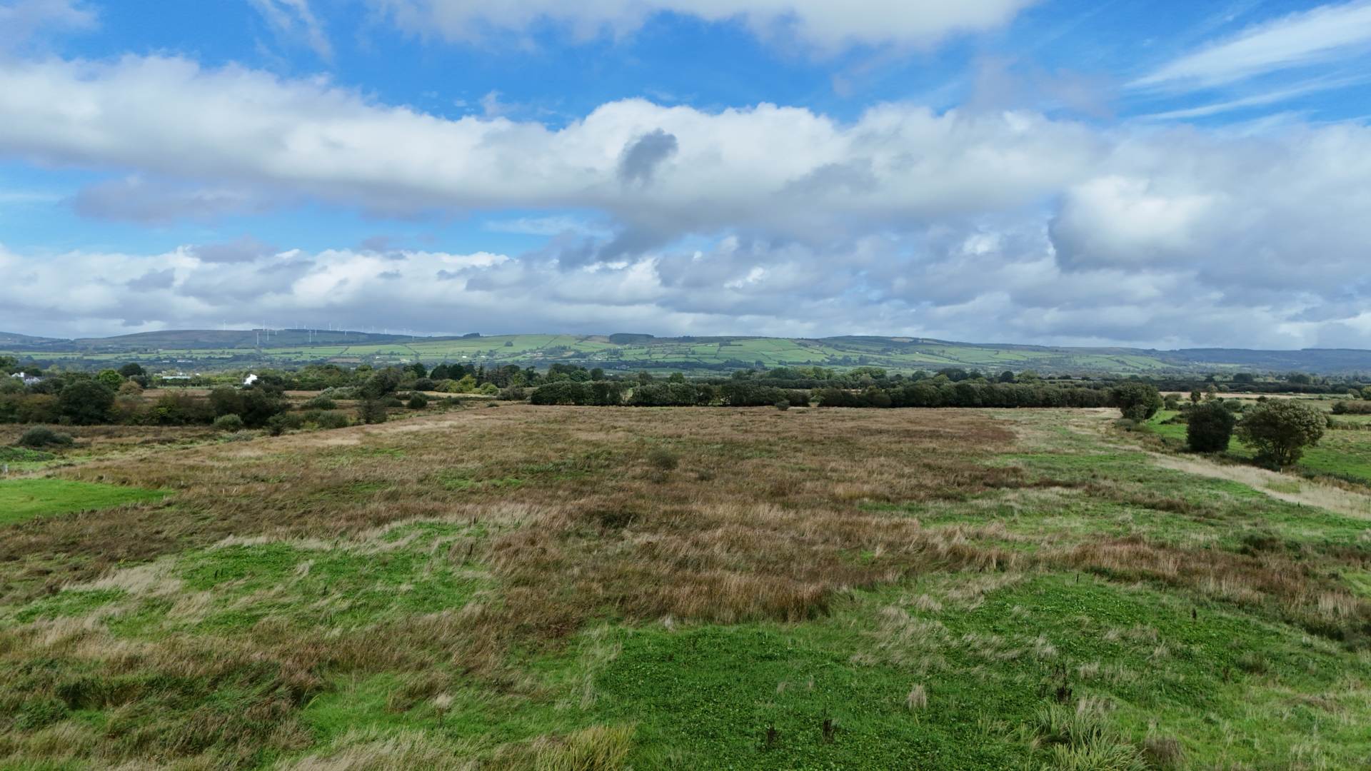 Scart, Gortatlea, Tralee, Co. Kerry