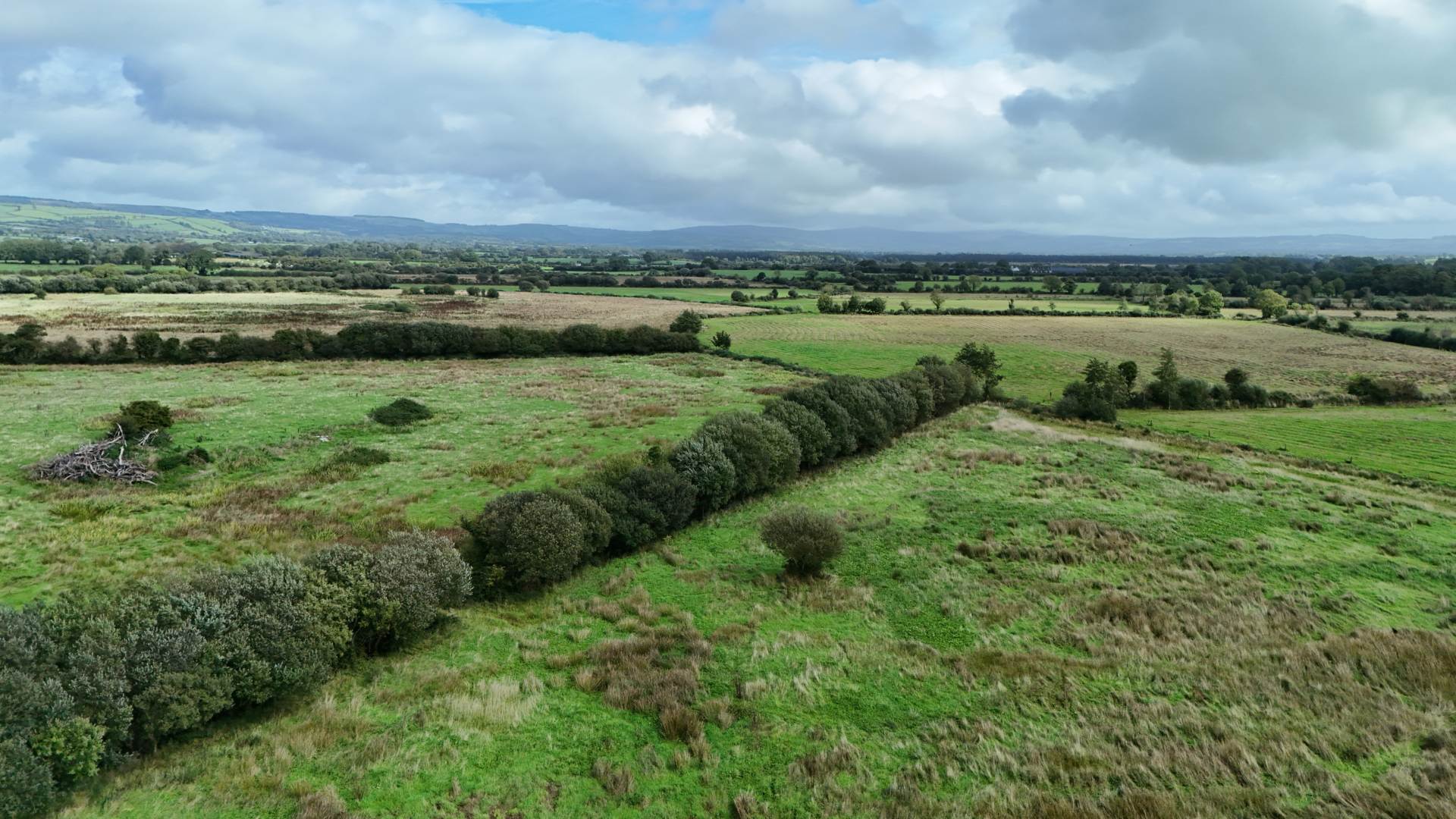 Scart, Gortatlea, Tralee, Co. Kerry
