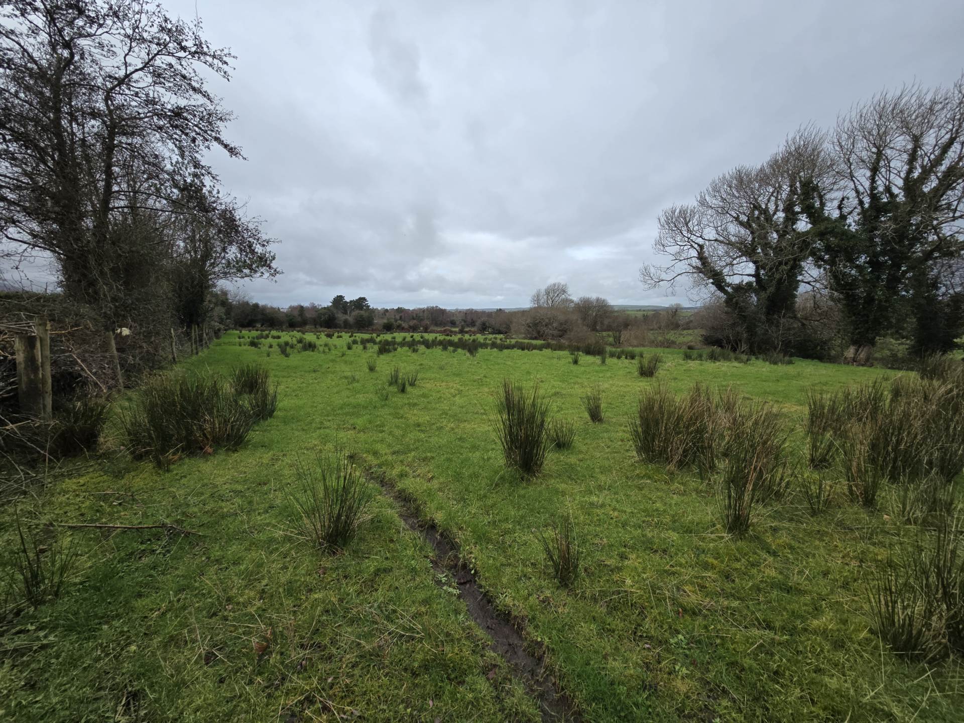 Clahane, Ballyard, Tralee Clahane, Ballyard, Tralee