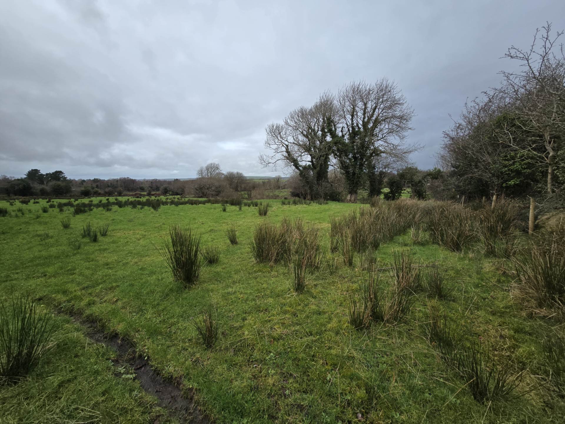 Clahane, Ballyard, Tralee Clahane, Ballyard, Tralee