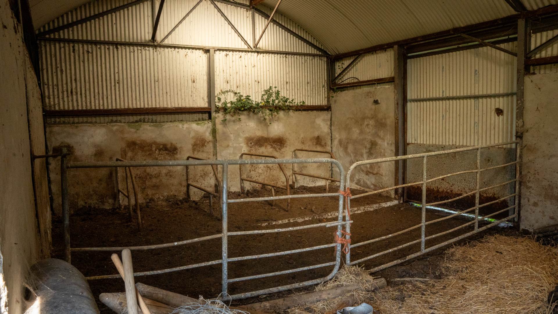 Reavaun, Currow, Killarney, Co. Kerry V93 YN96 Reavaun, Currow, Killarney, Co. Kerry V93 YN96