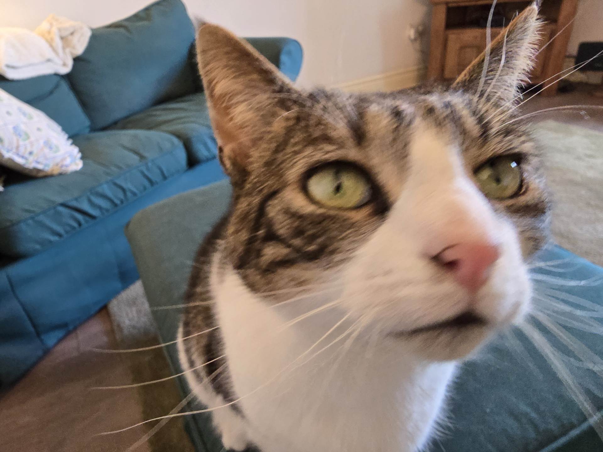 Lár an bhaile, Knocknagoshel, Co. Kerry V92 F785