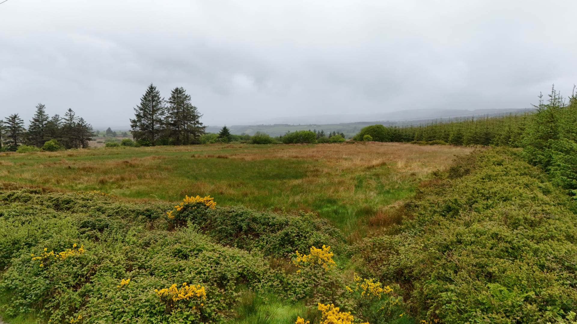 Reaglass, Castleisland, Co. Kerry