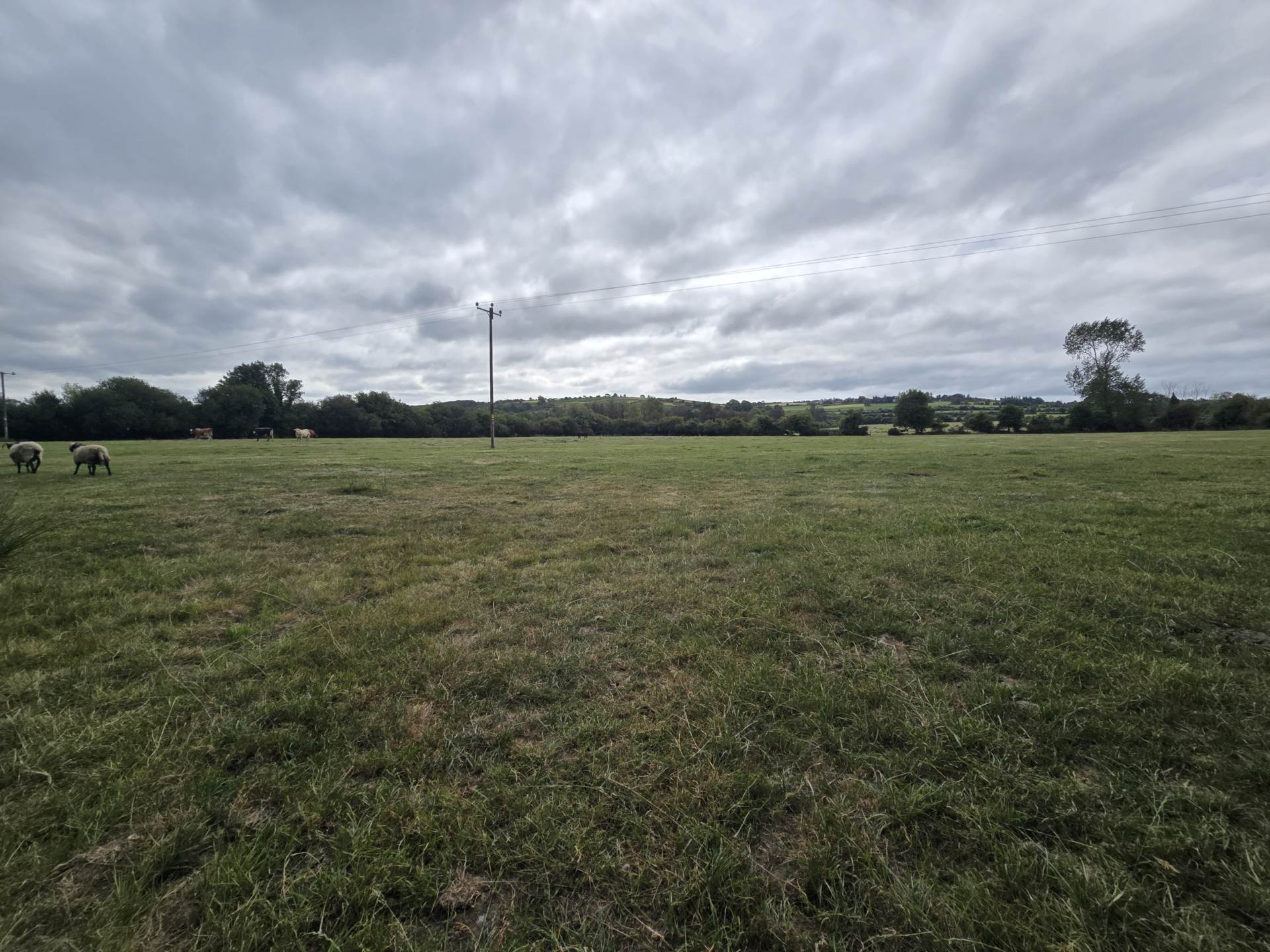Grange Grove Farm, Ballybrack, Firies, Killarney, V93 A9CY
