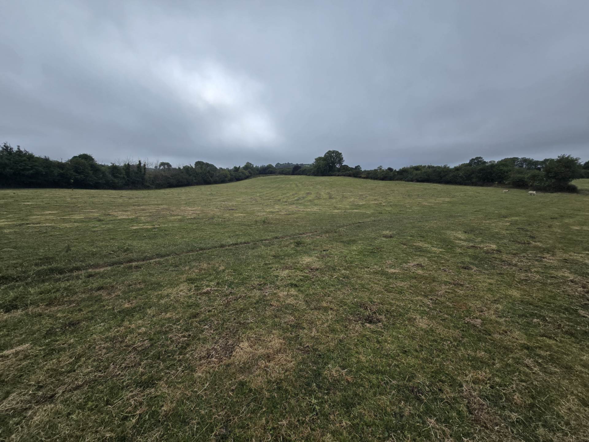 Grange Grove Farm, Ballybrack, Firies, Killarney, V93 A9CY
