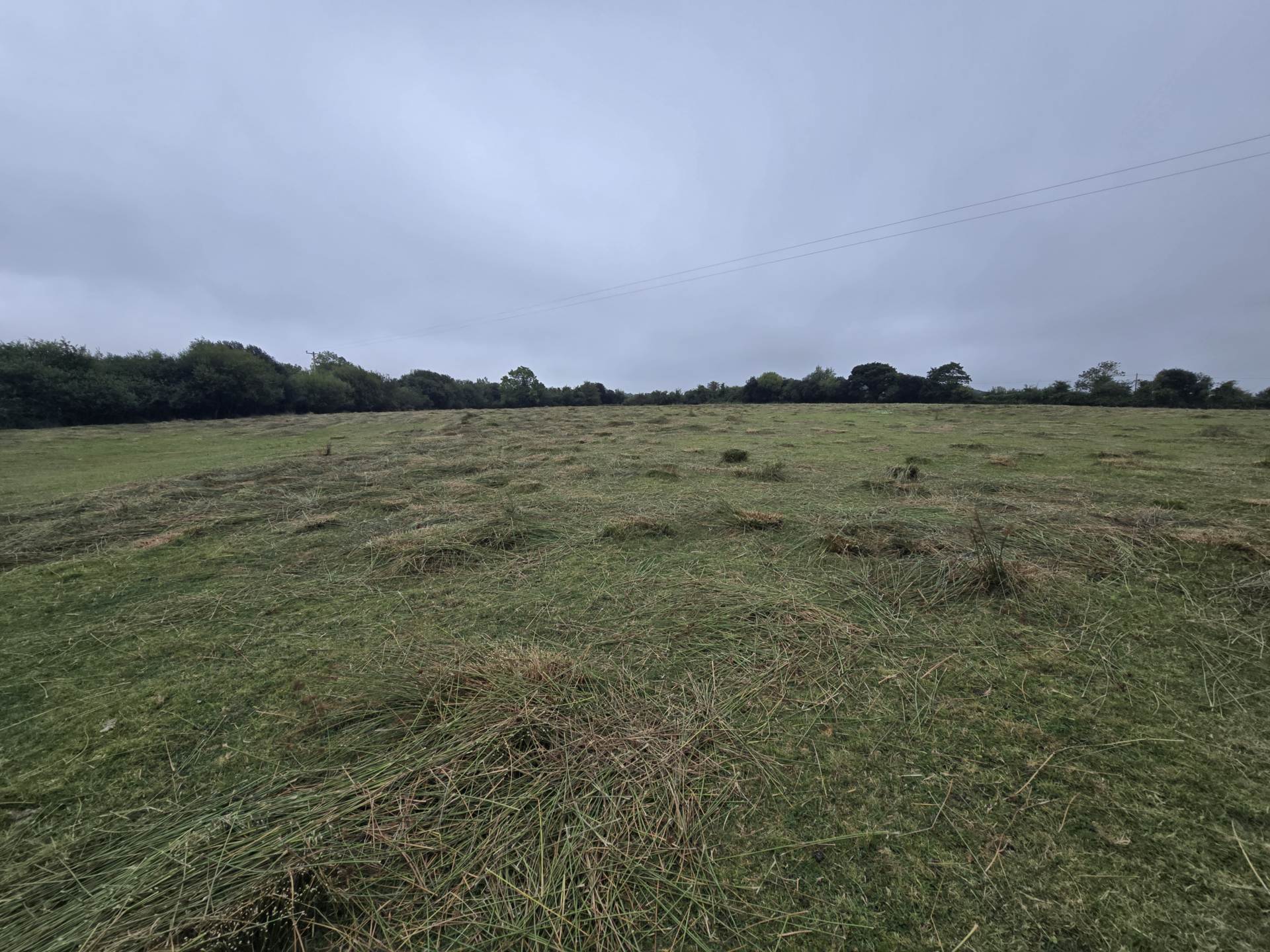 Grange Grove Farm, Ballybrack, Firies, Killarney, V93 A9CY