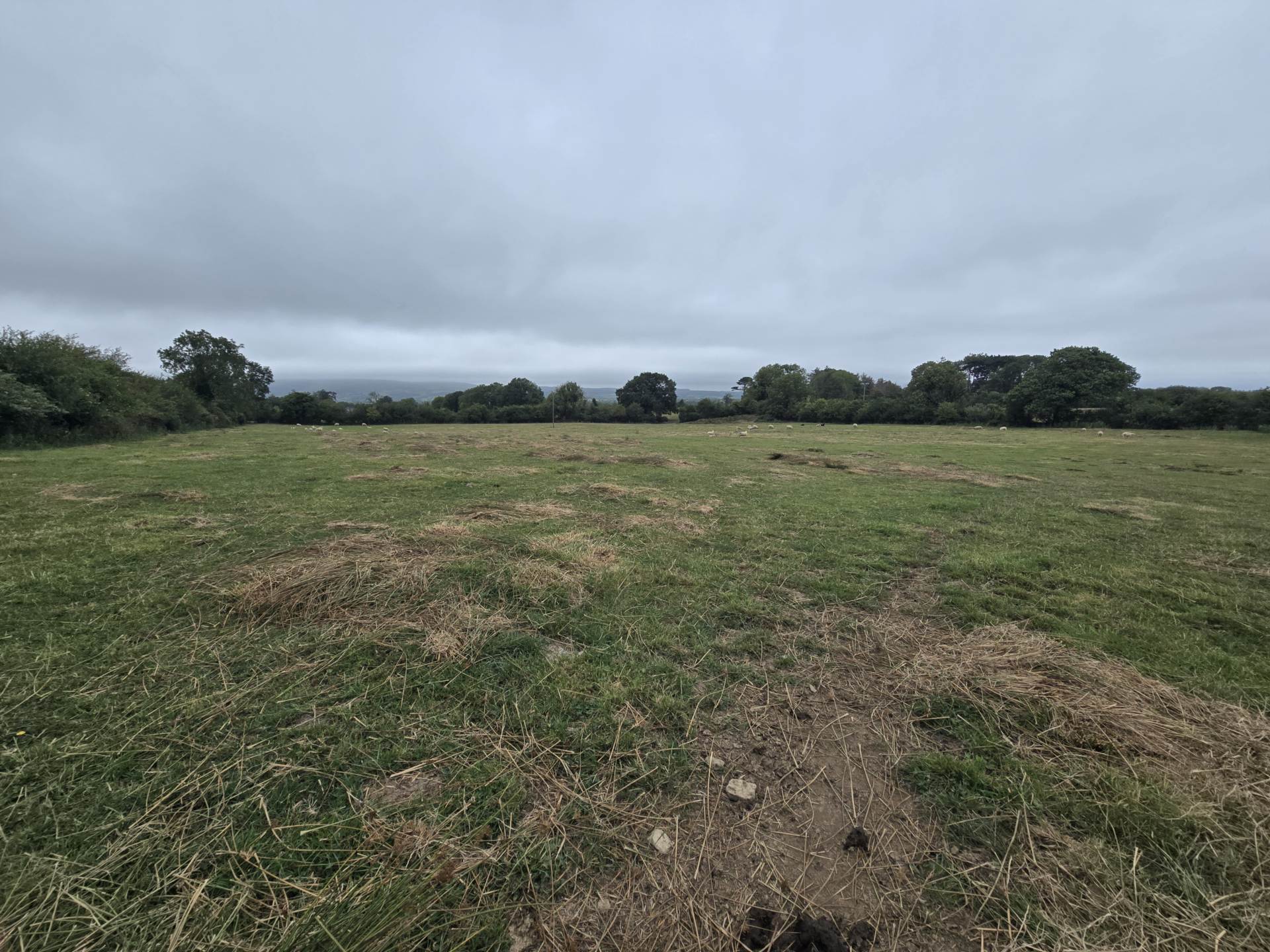 Grange Grove Farm, Ballybrack, Firies, Killarney, V93 A9CY