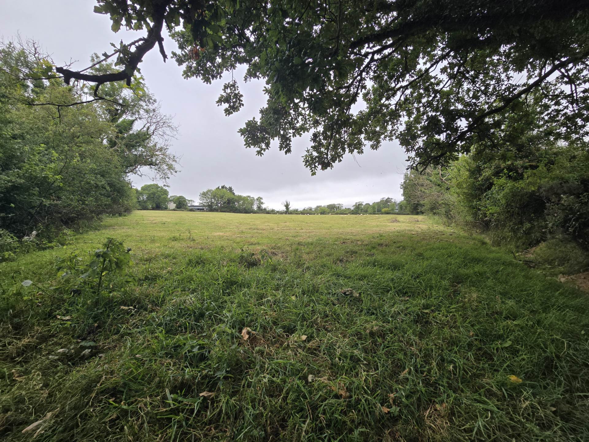 Grange Grove Farm, Ballybrack, Firies, Killarney, V93 A9CY