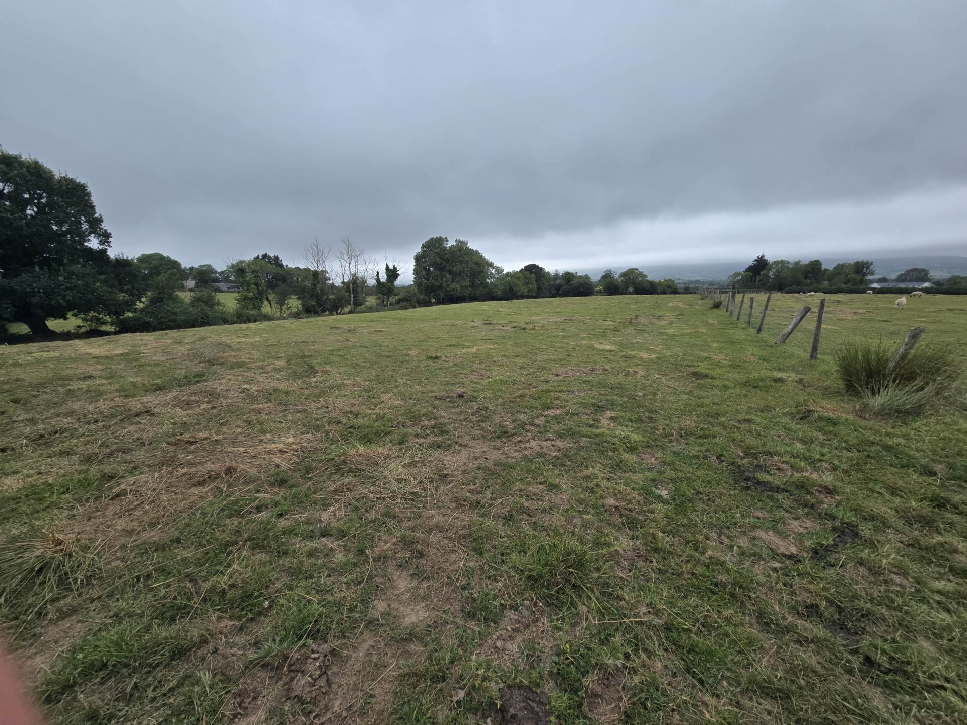 Grange Grove Farm, Ballybrack, Firies, Killarney, V93 A9CY