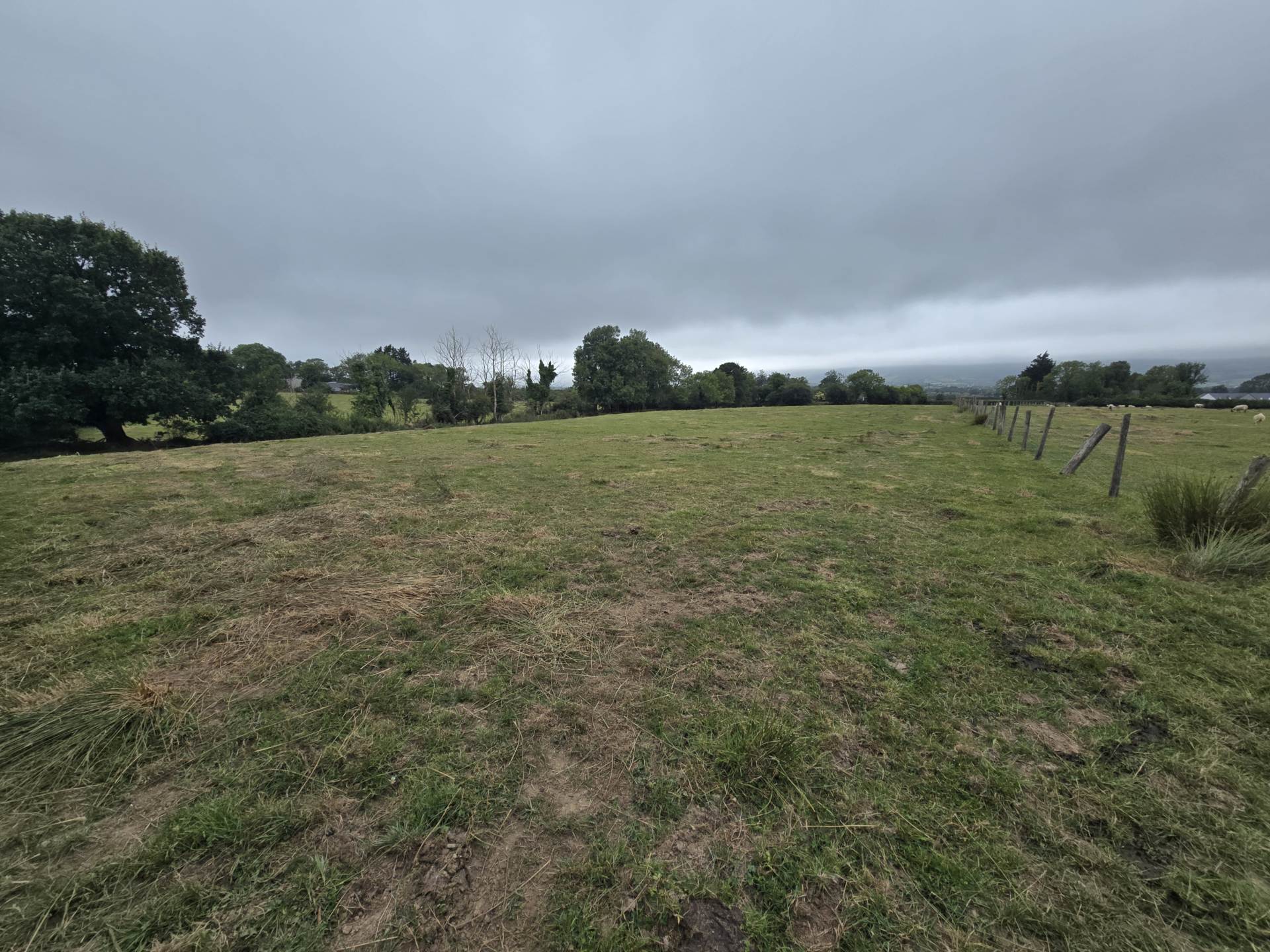 Grange Grove Farm, Ballybrack, Firies, Killarney, V93 A9CY