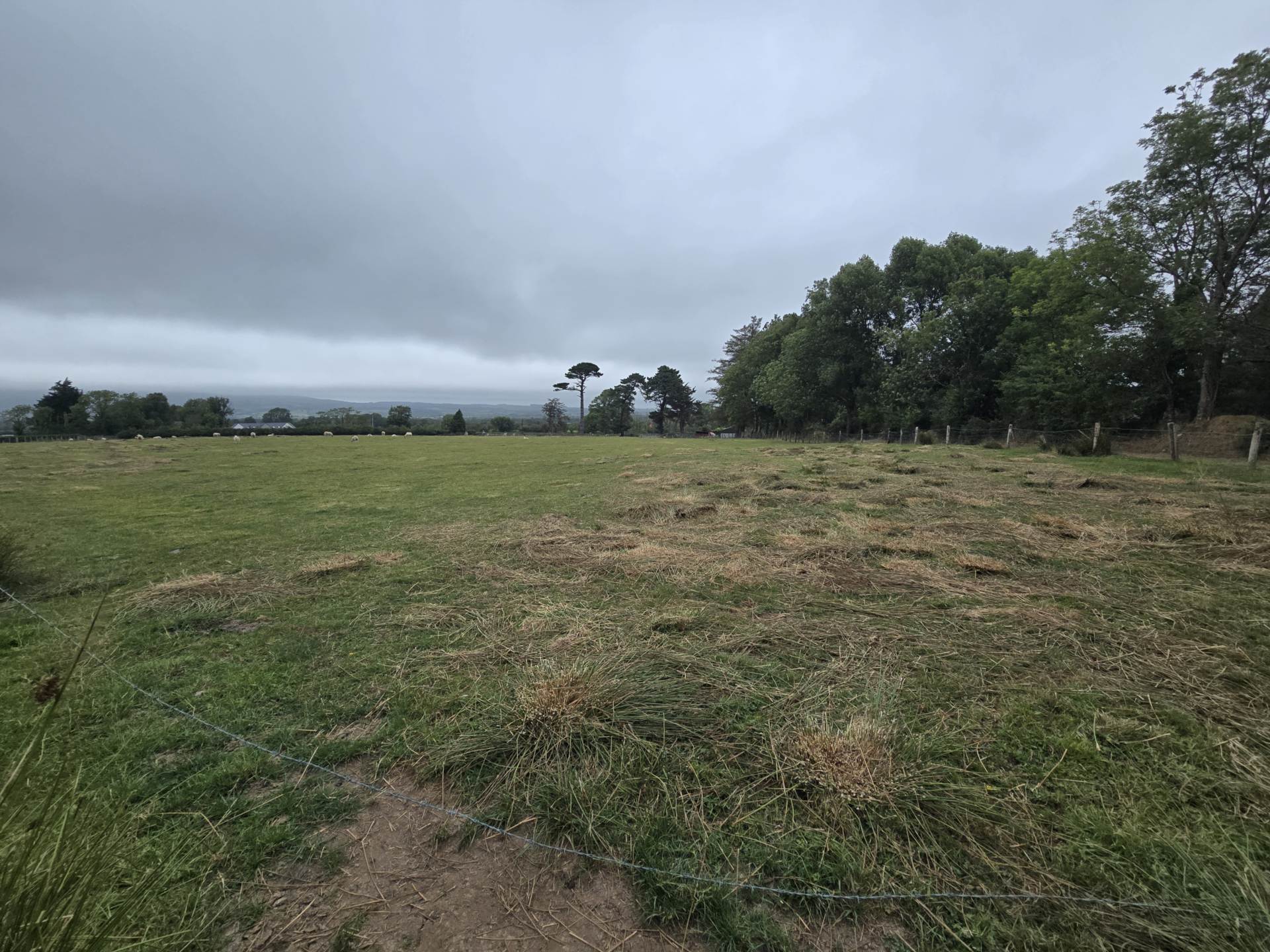 Grange Grove Farm, Ballybrack, Firies, Killarney, V93 A9CY