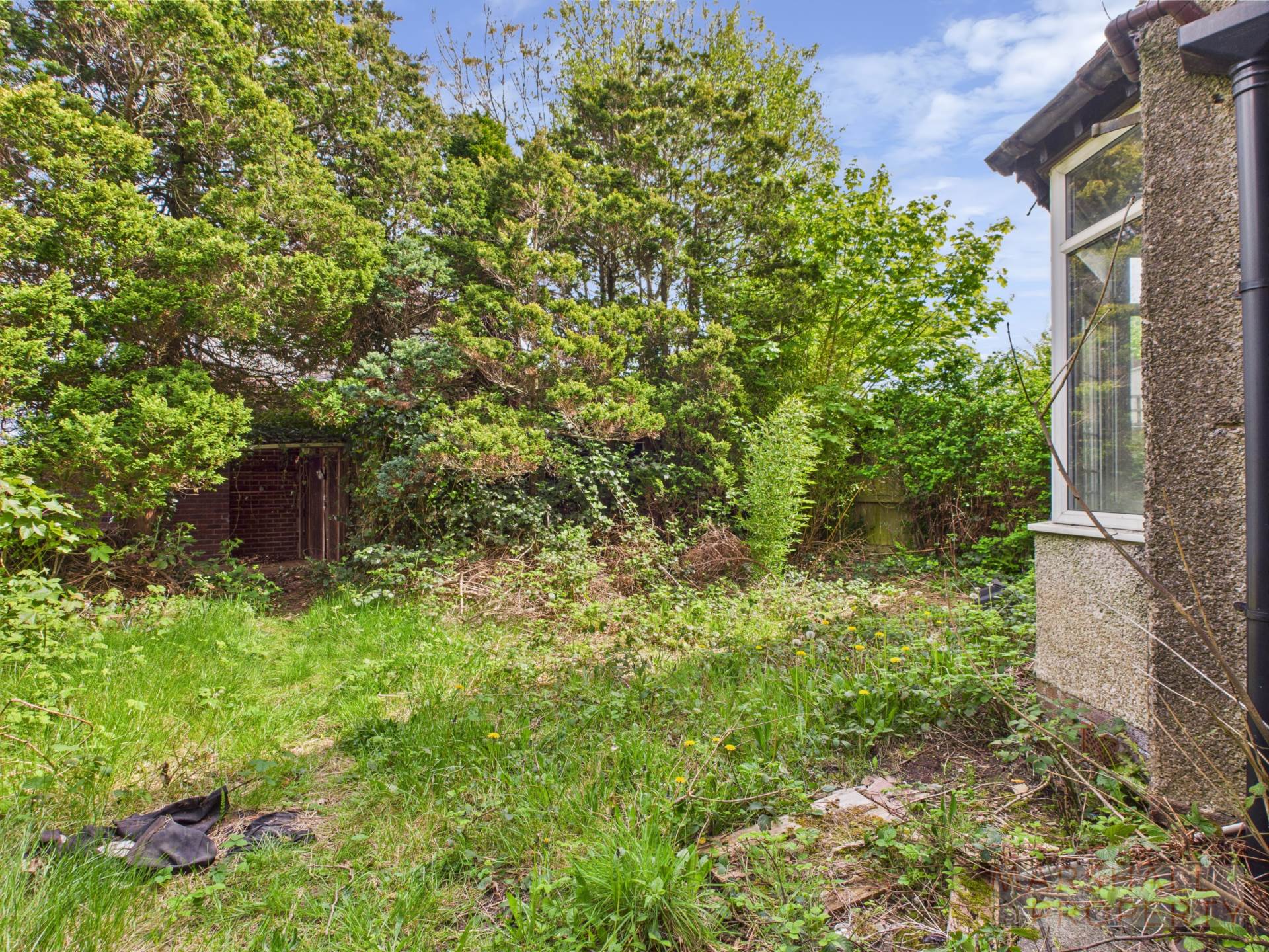 Brodie Avenue, Grassendale, L19, Image 3
