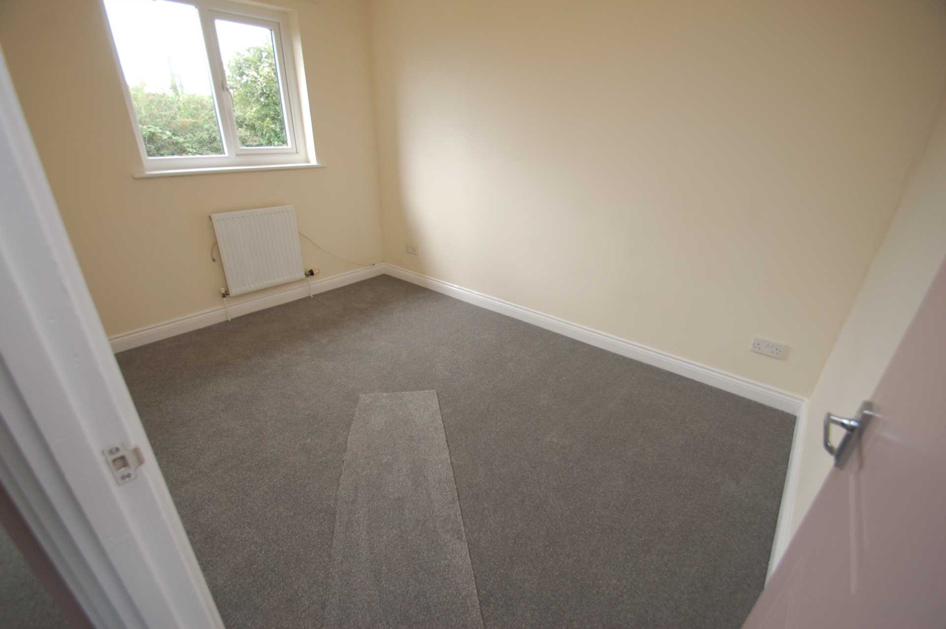 Honeysuckle Close, Paignton, Image 7