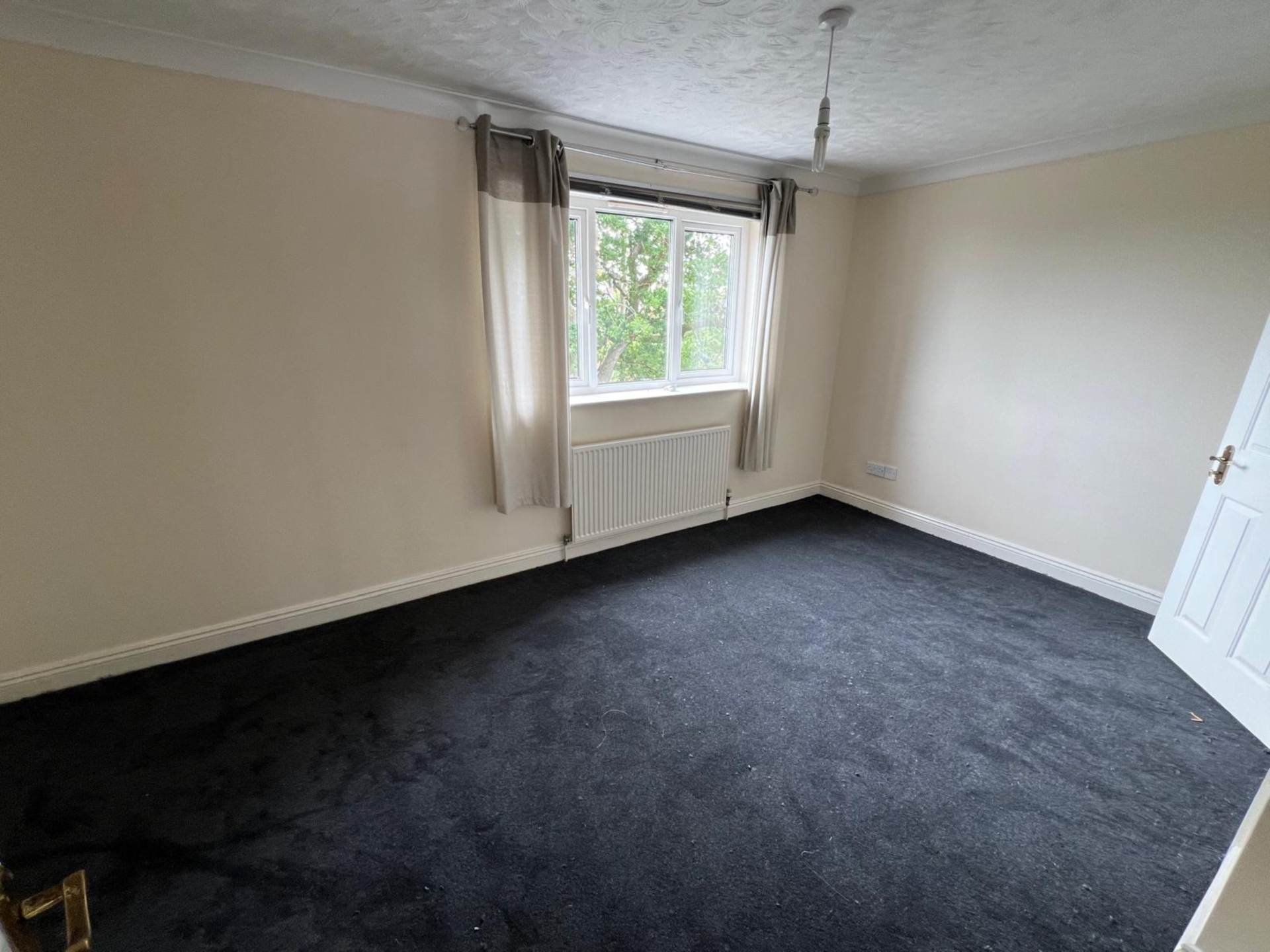 Badgers Close, Paignton, Image 13
