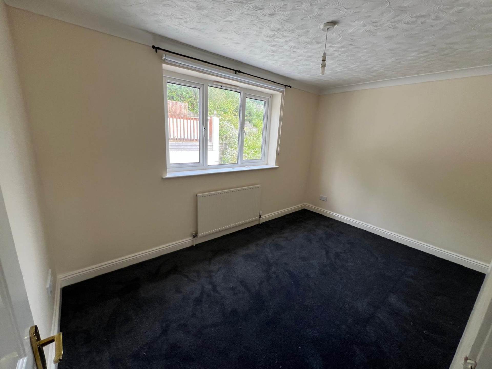 Badgers Close, Paignton, Image 16