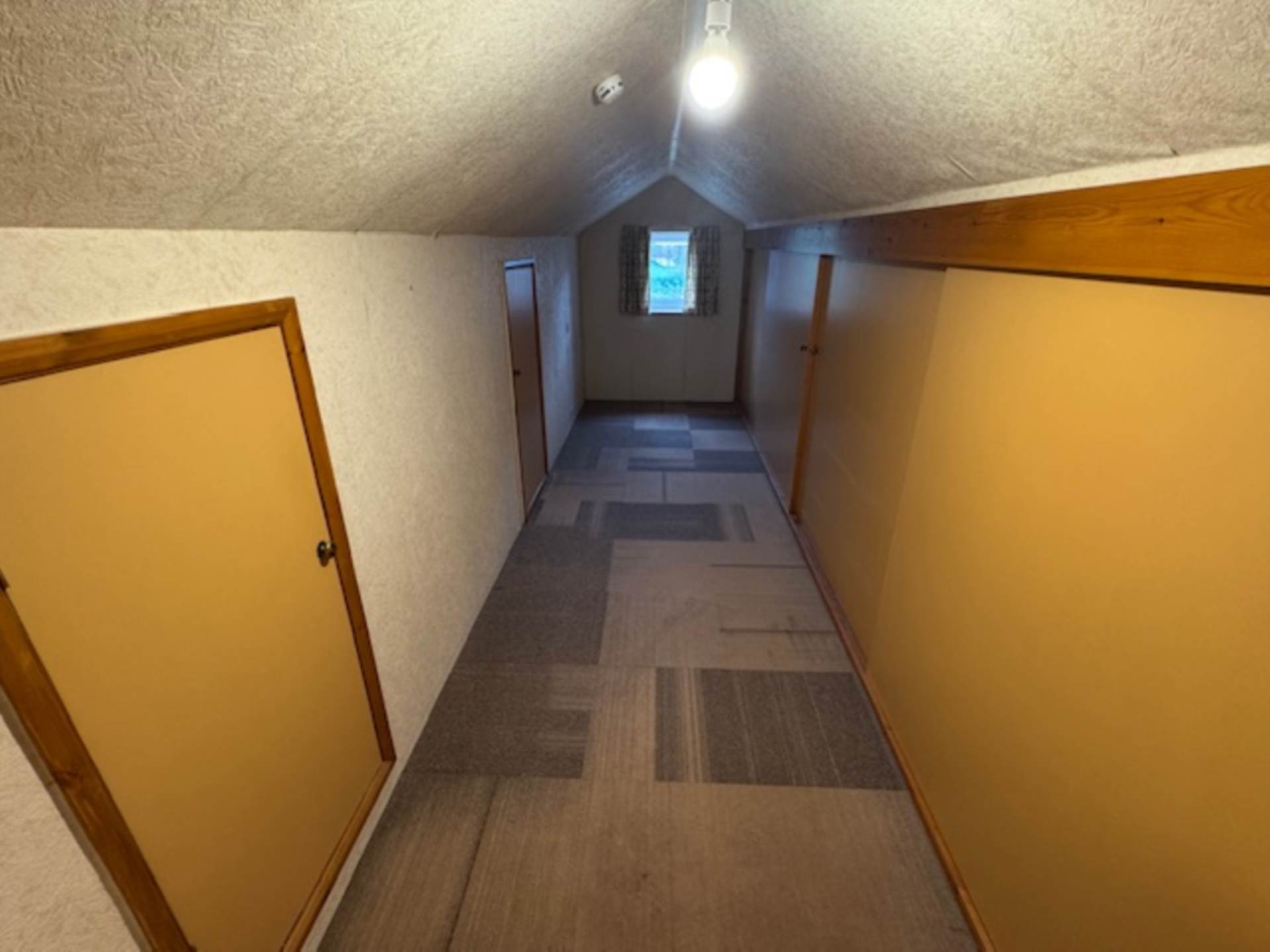 Castlewood Avenue, Newton Abbot, Image 16