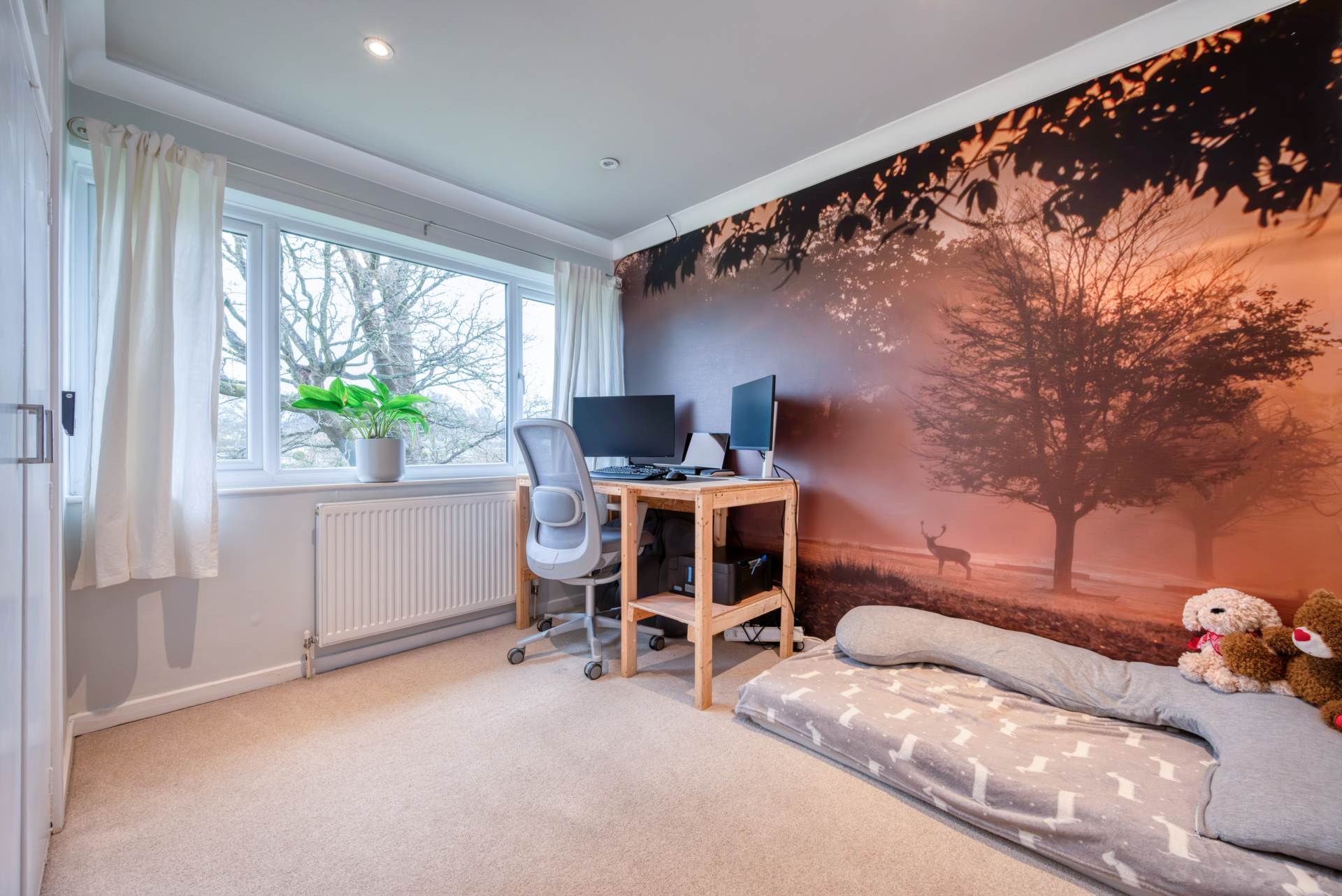 Galsworthy Drive, Caversham Park, Image 12
