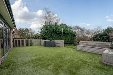 The Horse Close, Reading, Image 22