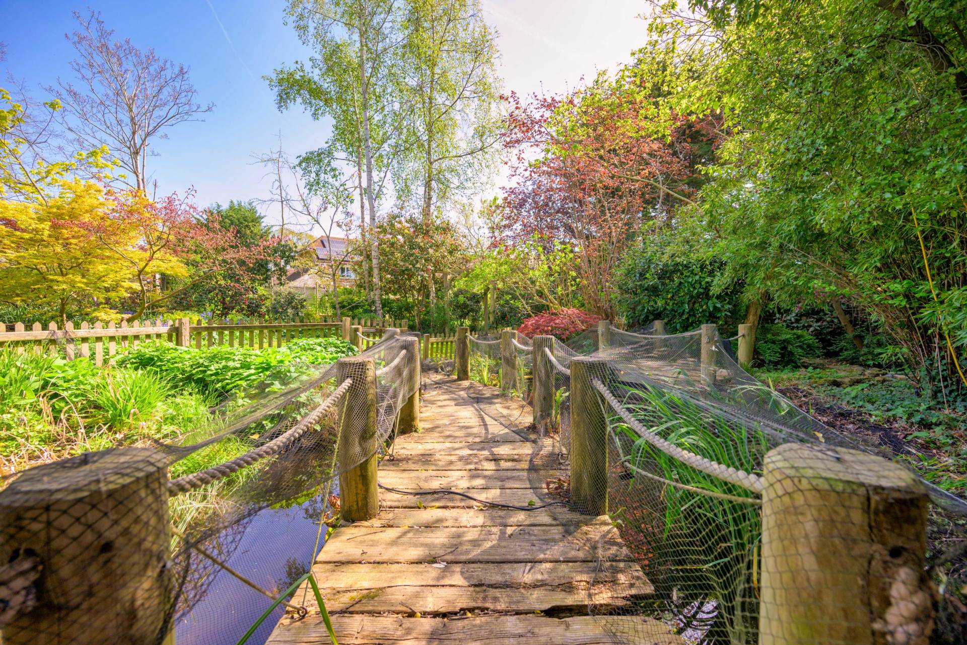 Thompson Walk, Calcot, Image 24