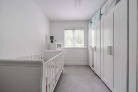 Luscinia View, Reading, Image 8