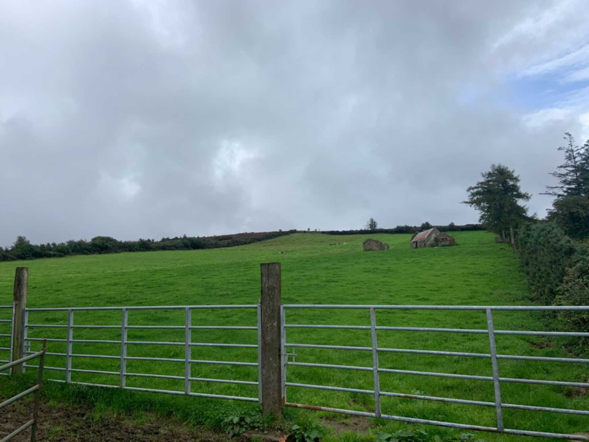 Tinnahinch, Clonaslee
