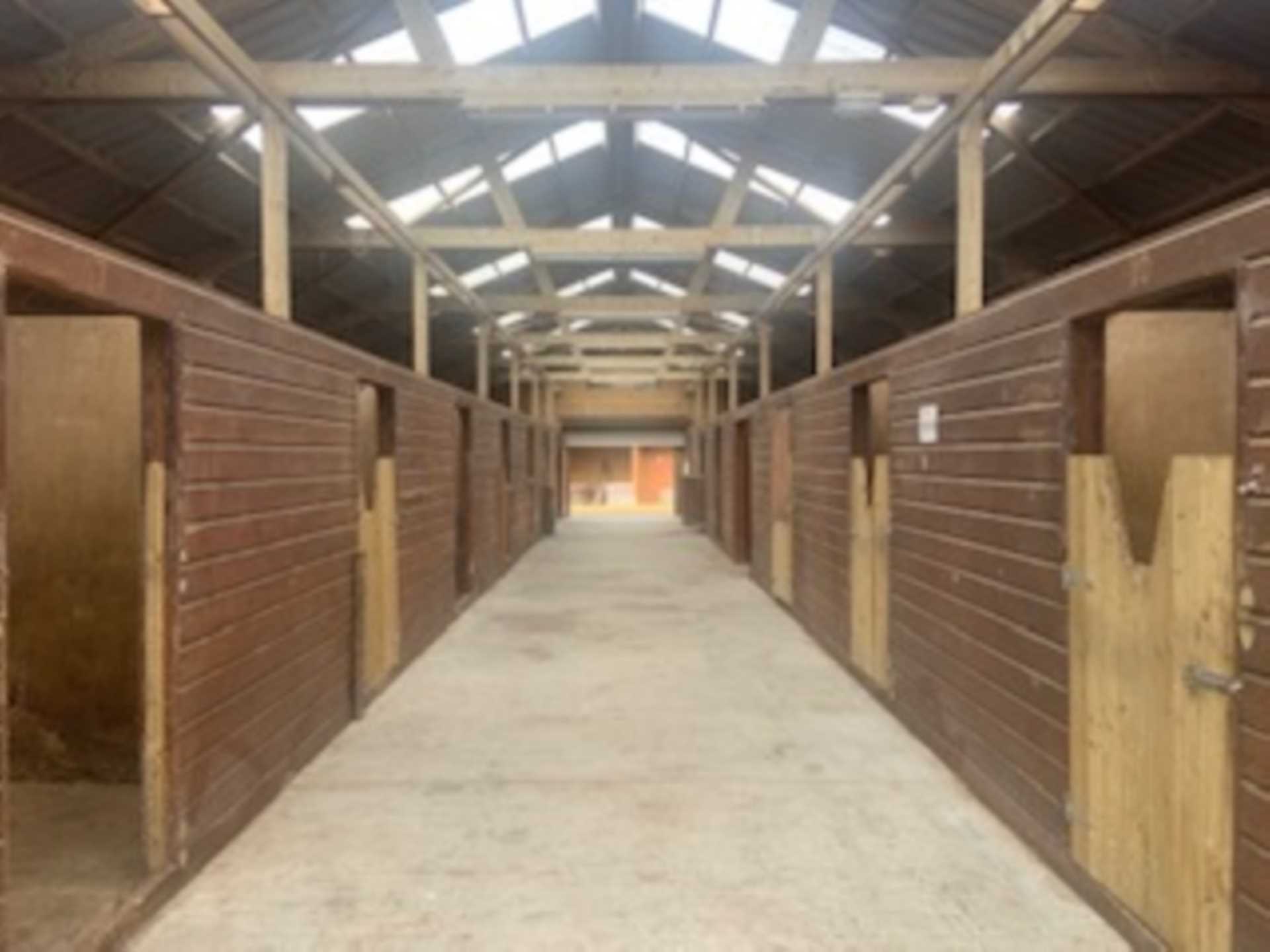 Kingsdale Stud, Kilkeaskin, Carbury Co Kildare, W91P528