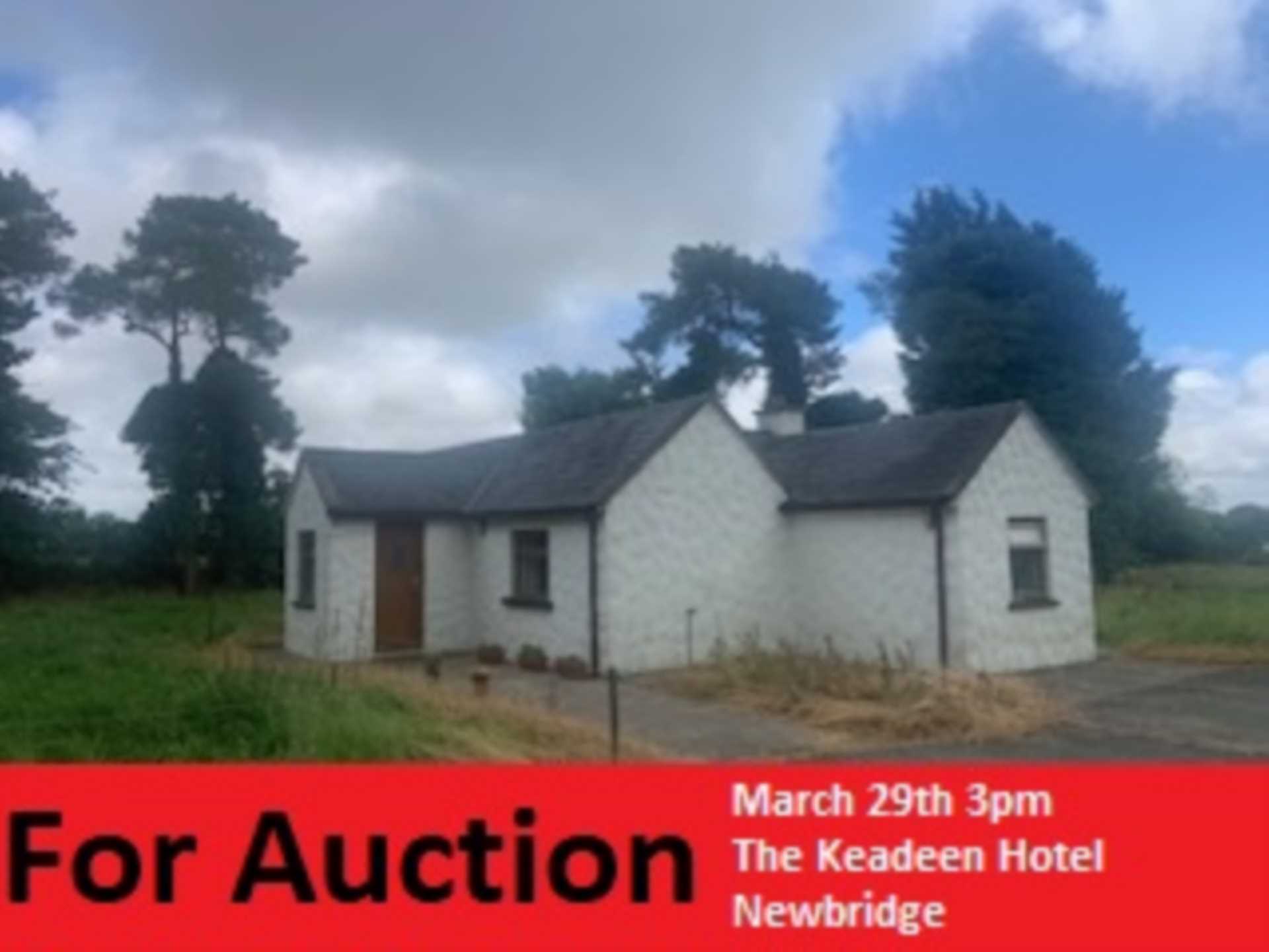 Kingsdale Stud, Lot 2 & Lot 3, Kilkeaskin, Co Kildare, W91P528