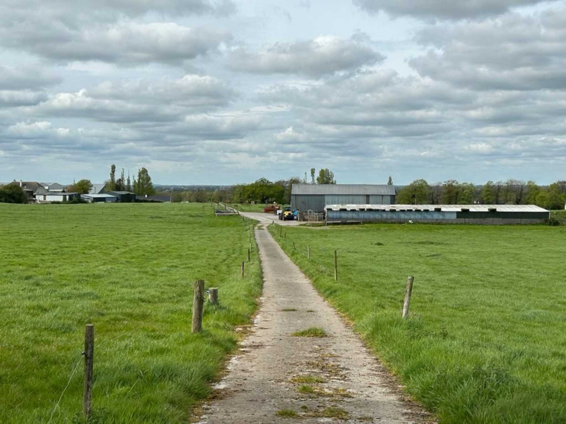 122 acres silage, Newtown, Killeigh, Co Offaly R35CD51