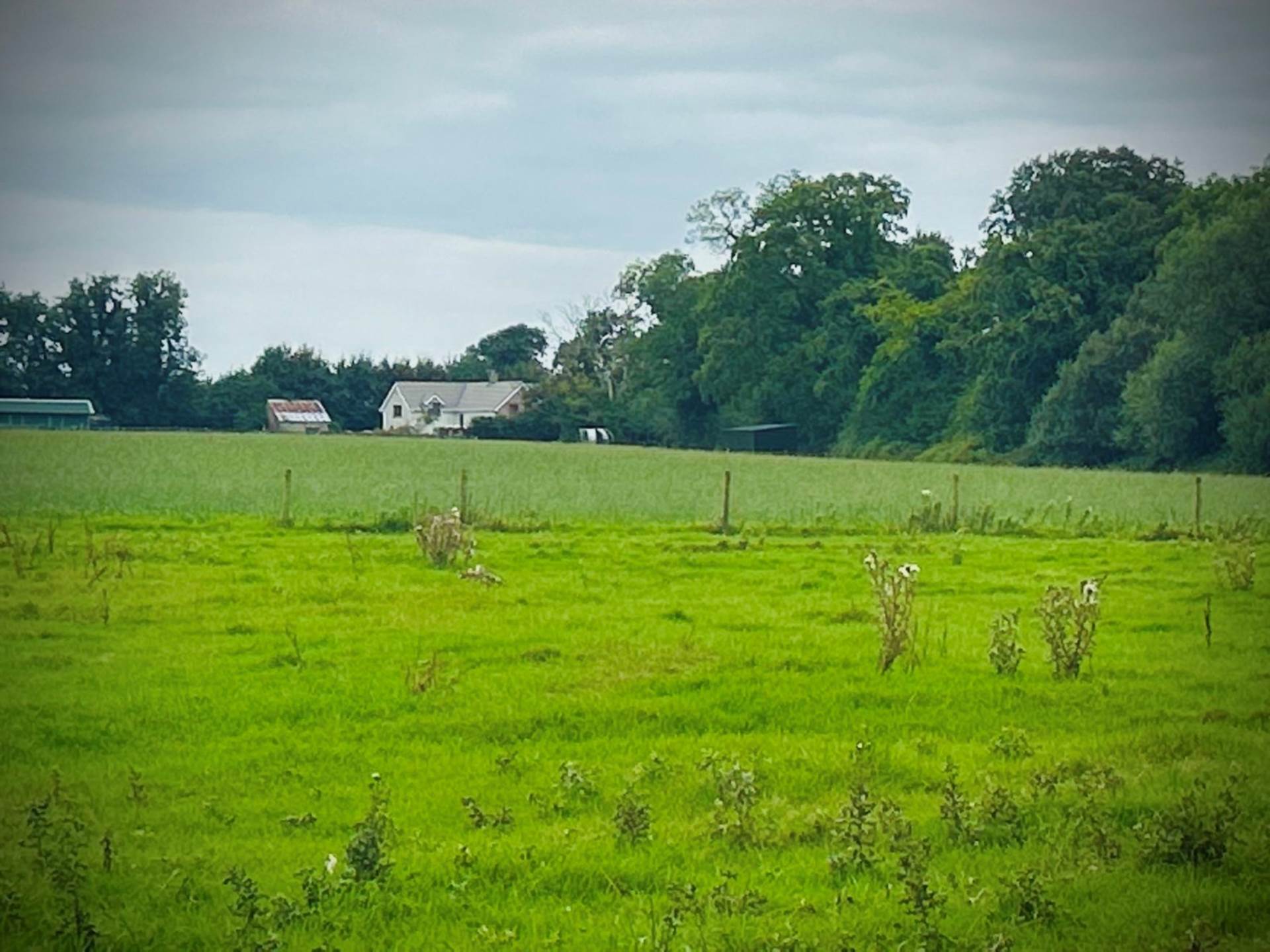 65.5 acres Farm plus farmyard, Chevychase, Bracknagh, Rathangan, Co. Kildare R51 P230