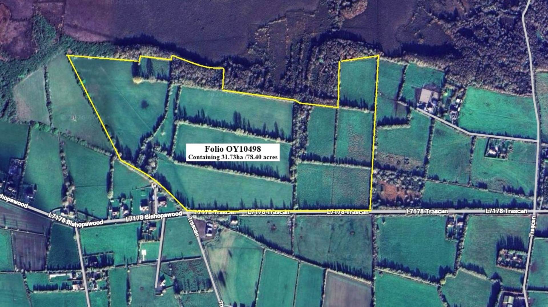 31.73ha /78.40 Acres, Treascan, Portarlington To Let