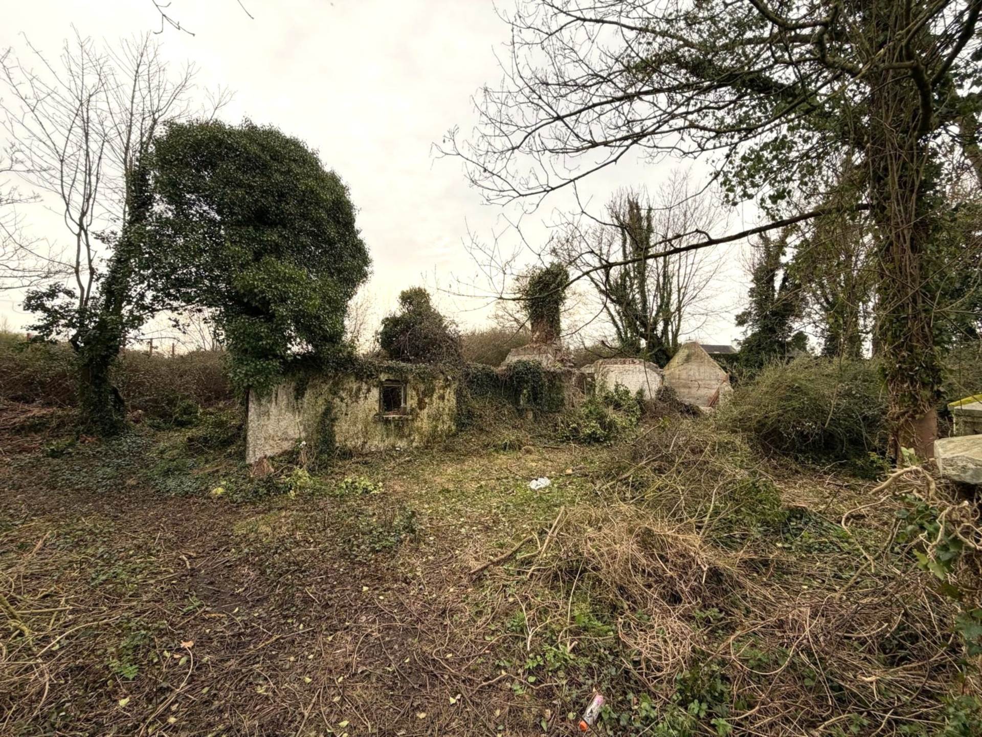 Coolnafearagh, Monasterevin
