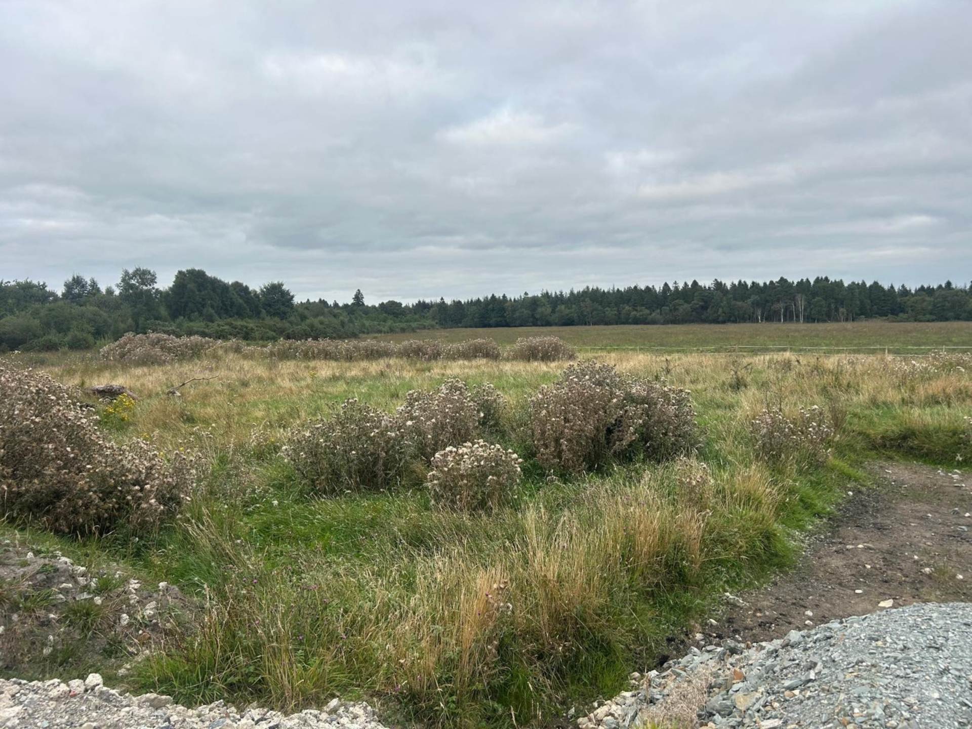 5ha /12.36 acres, Emo Park, Corrig, Ballybrittas, Co. Laois R32 RP30