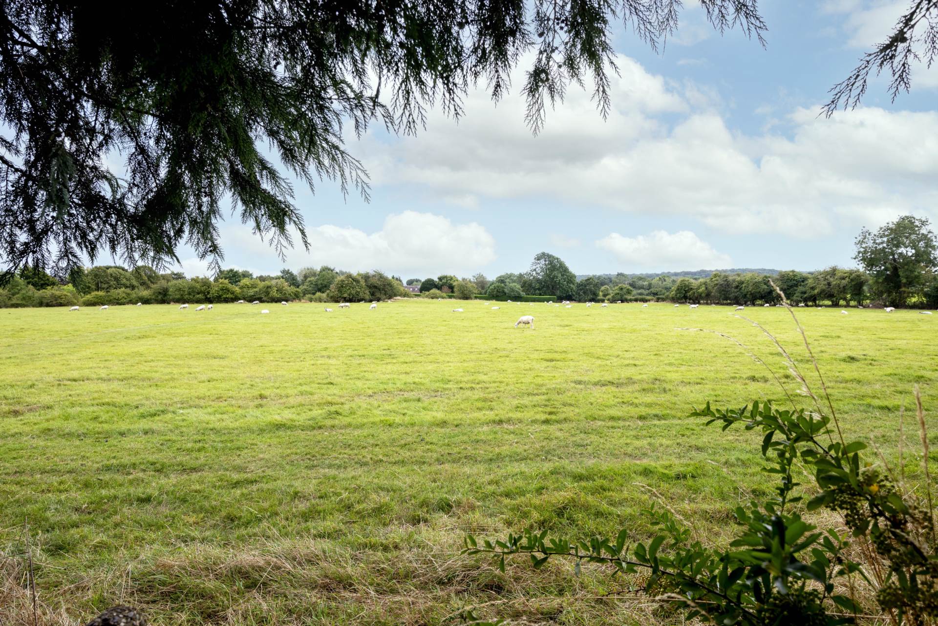 Jackson Road, Bledington, Image 13