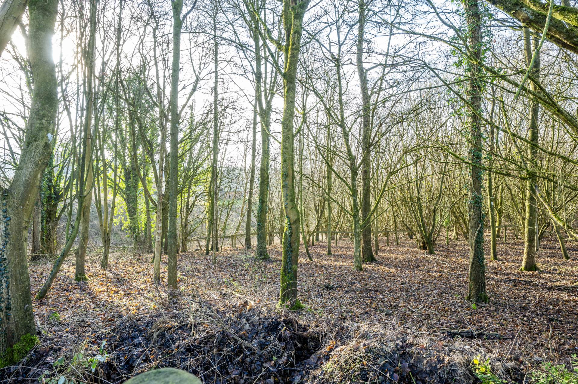 Worcester Road, Chipping Norton, Image 21