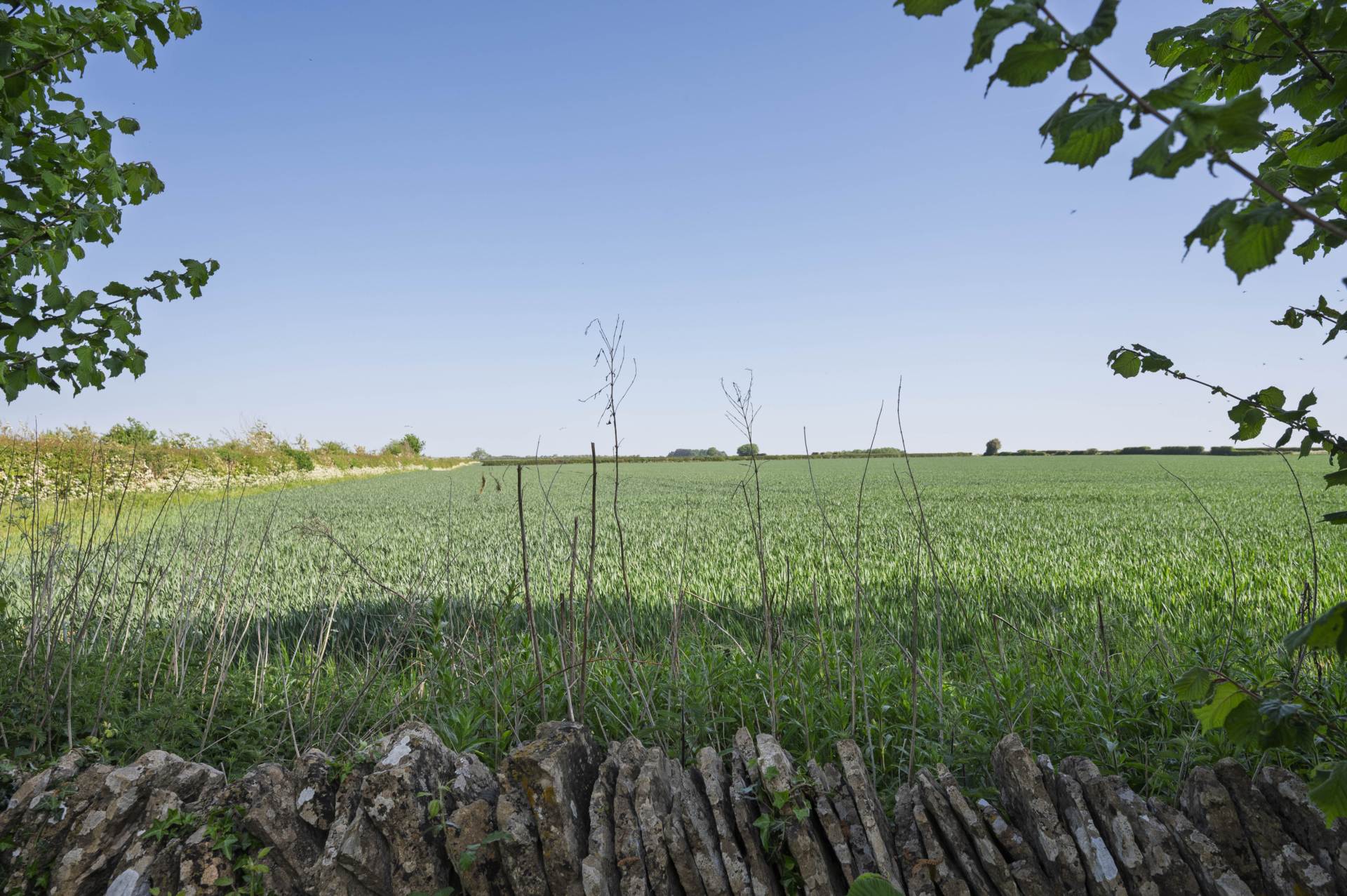 Church Road, Chadlington, Image 22