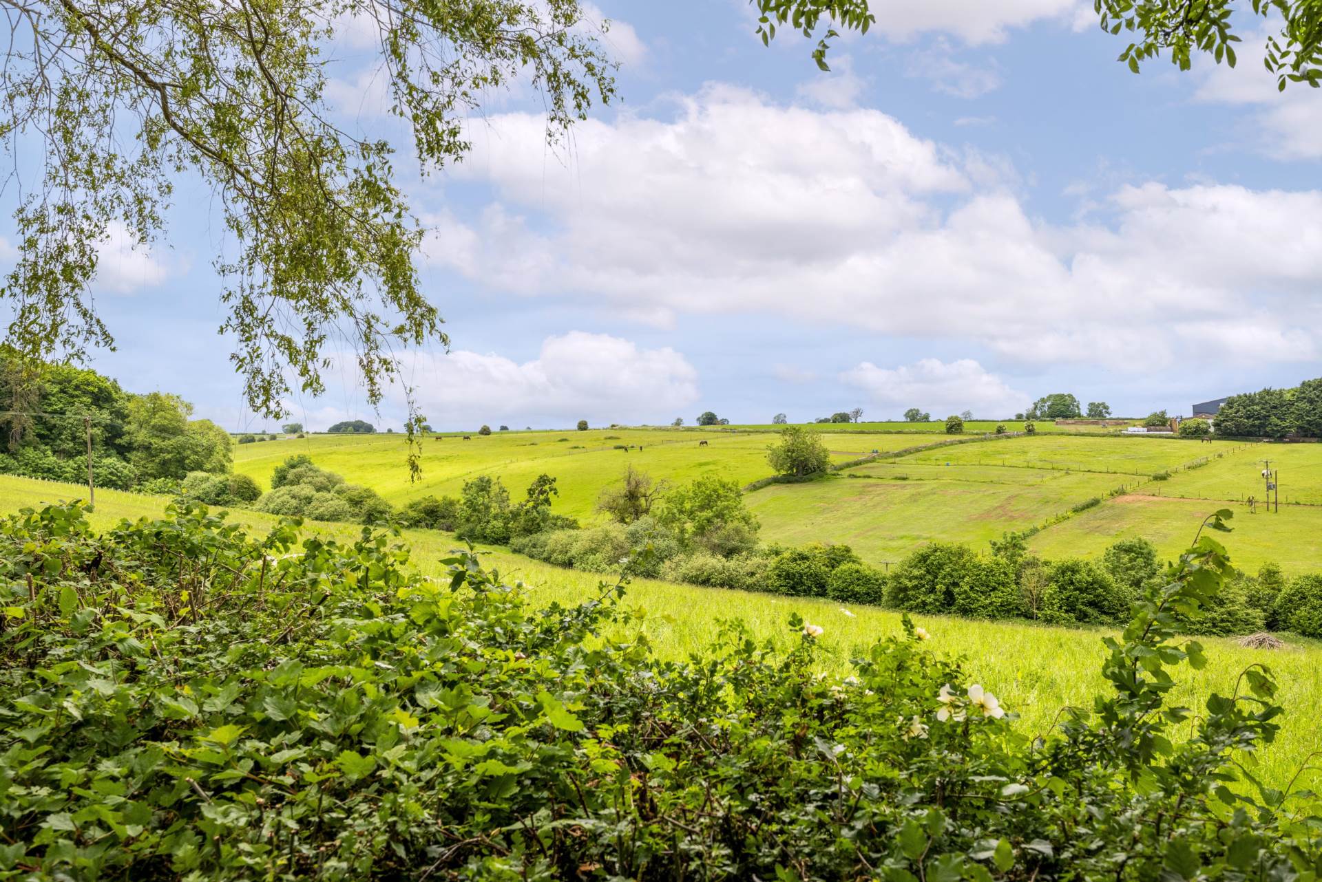 Dunthrop Road, Heythrop, Image 14