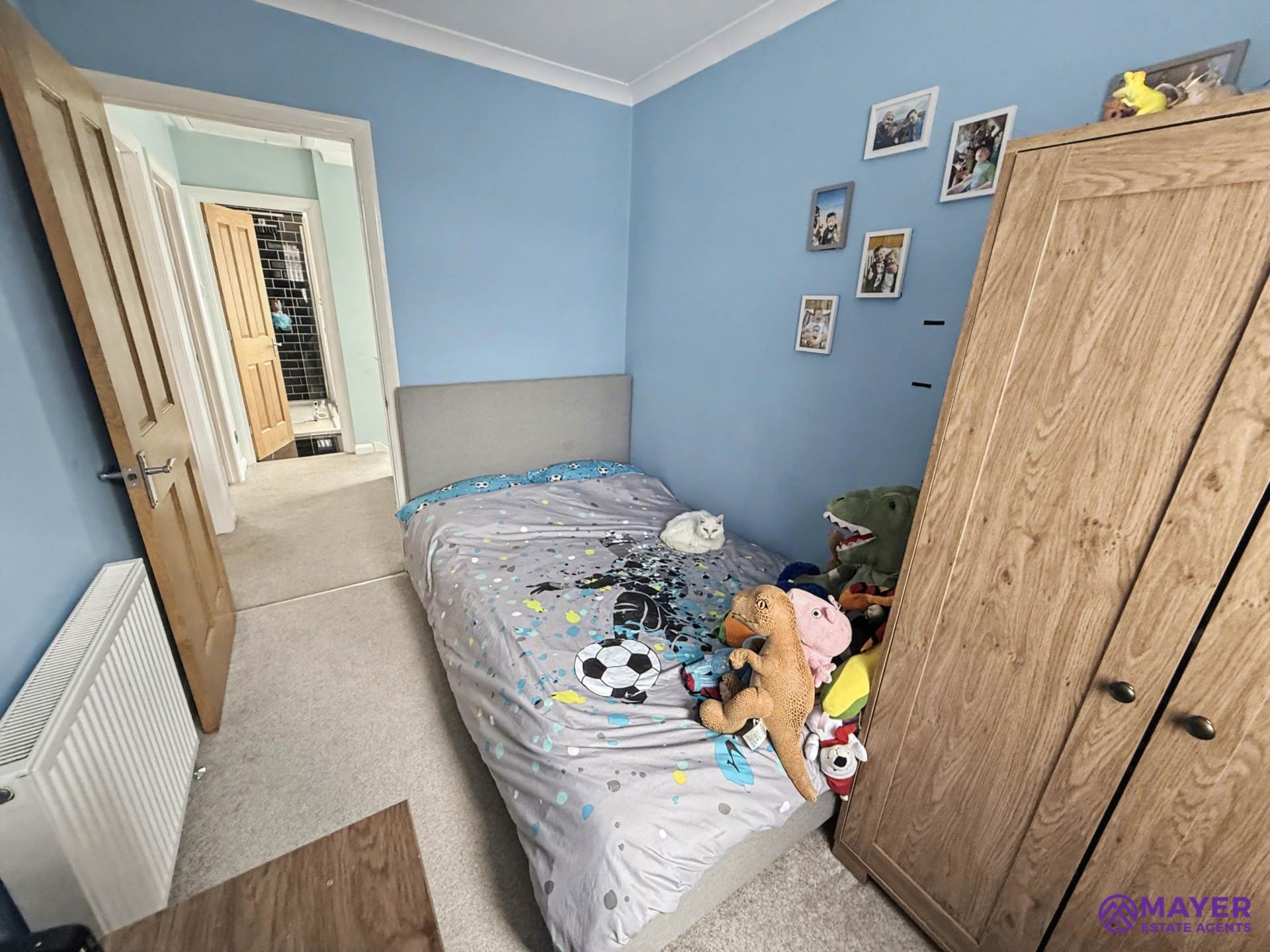 Woodford Ave, Plymouth, Image 13